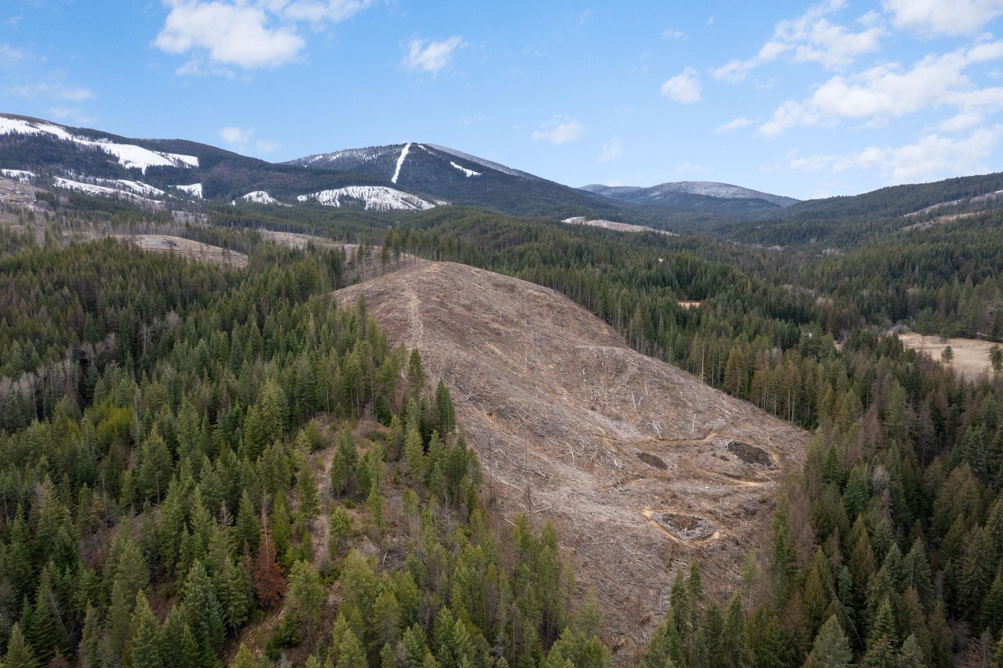 35007 N Blanchard Creek Rd - Photo 35
