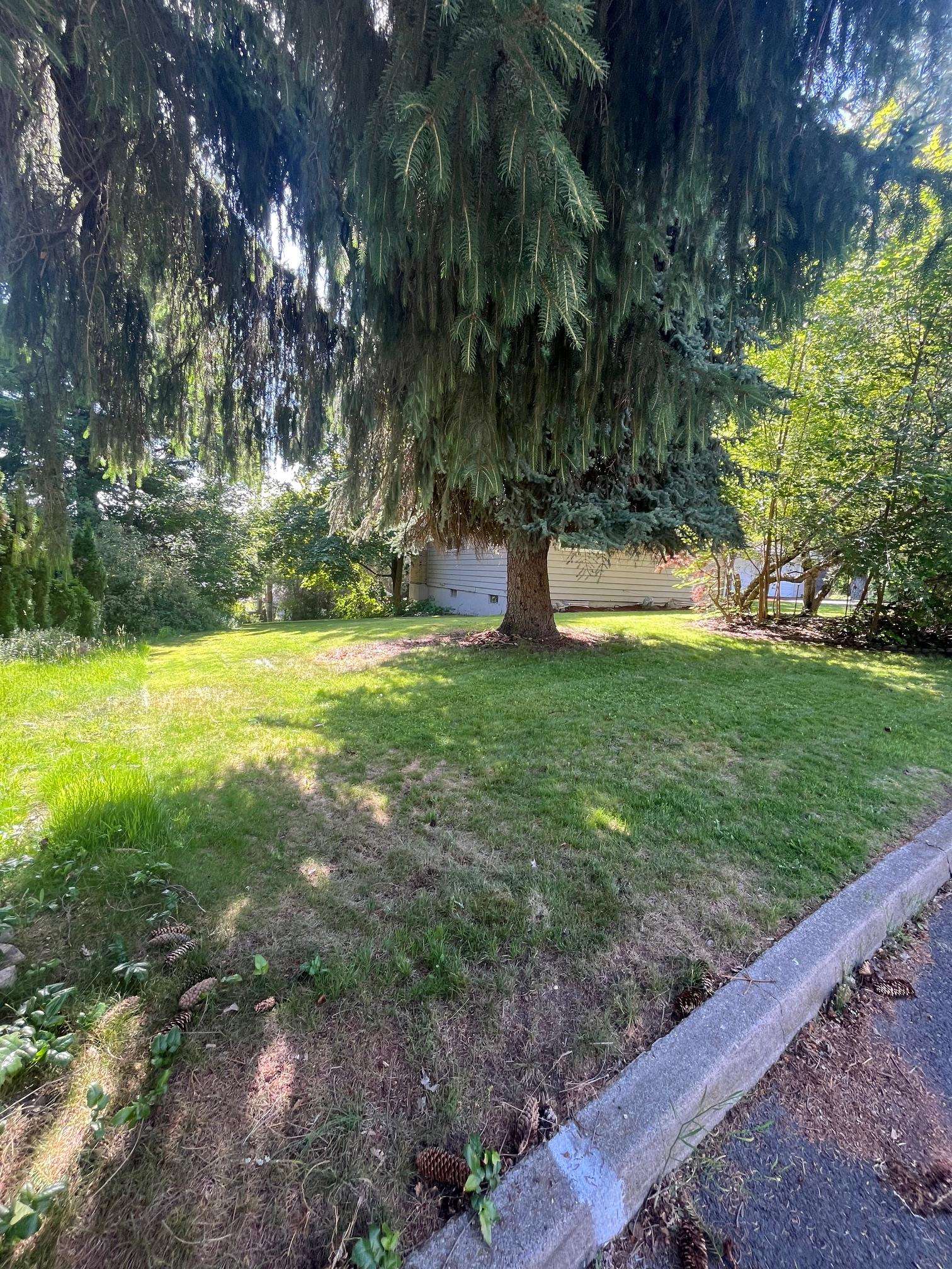10520 N College Cir - Photo 4