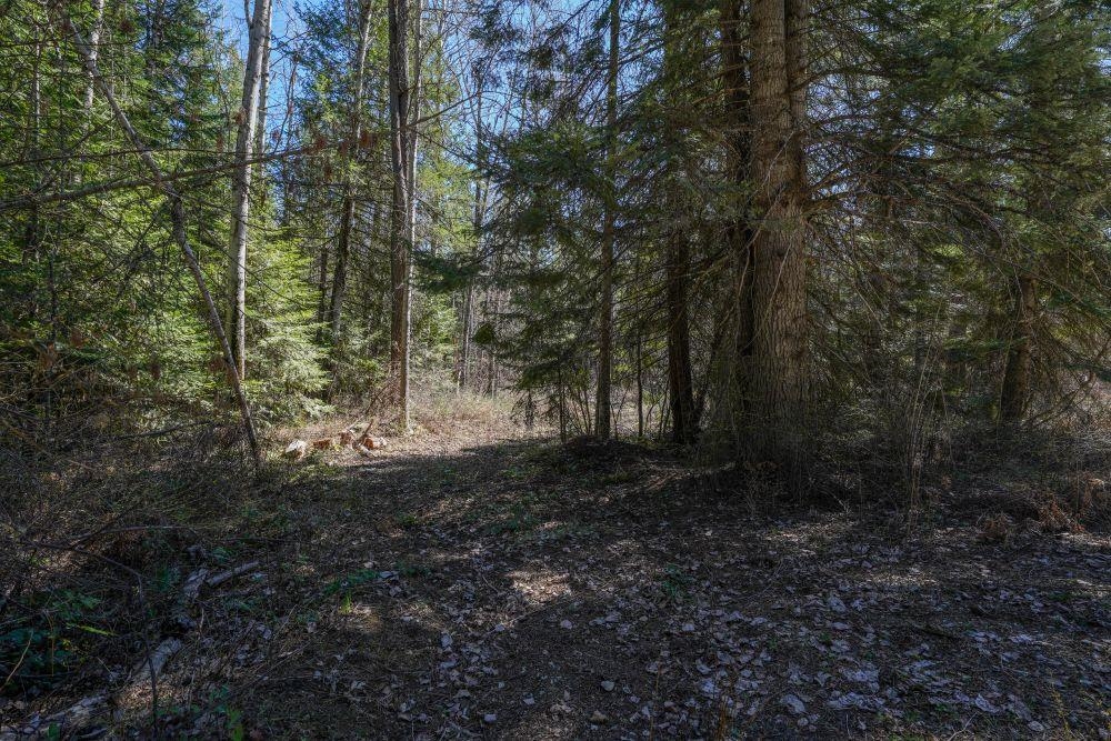 NKA Virginia Ln - Photo 9