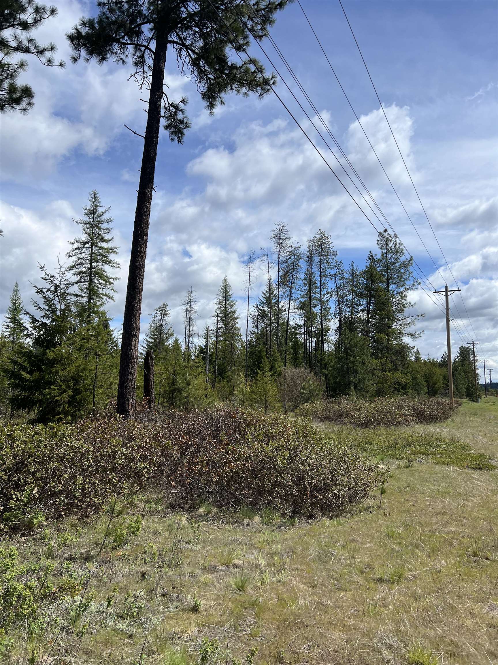 NKA - parcel #2 Hwy 2 Hwy - Photo 12