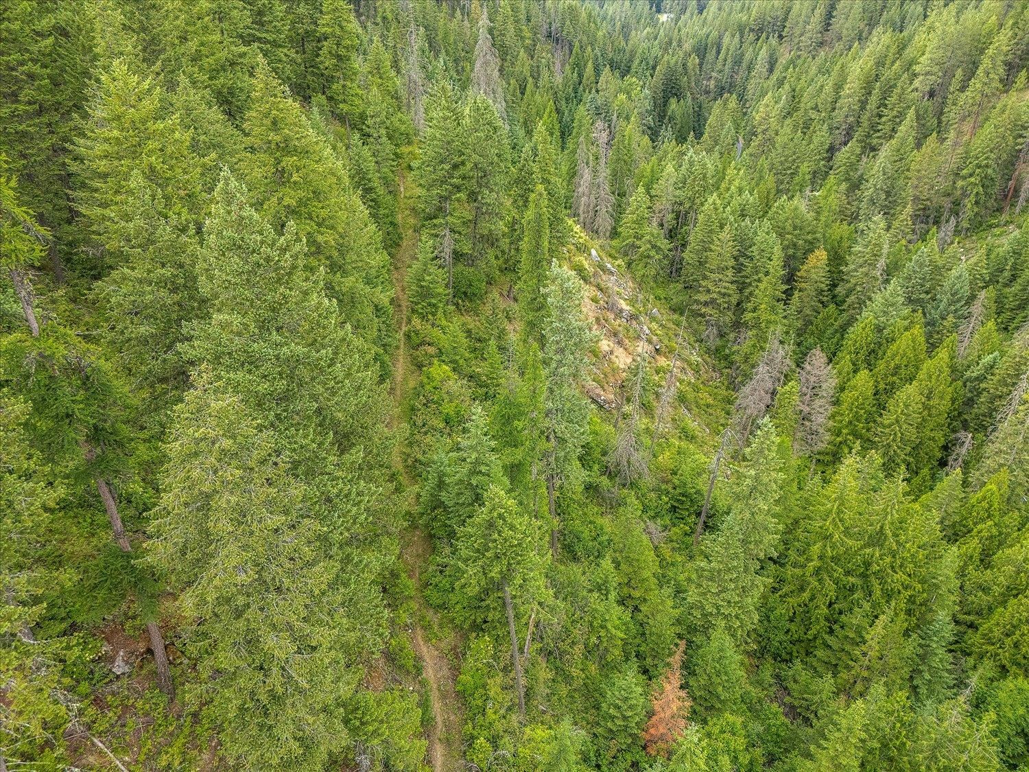 19960 N Mt Spokane Park Dr - Photo 6
