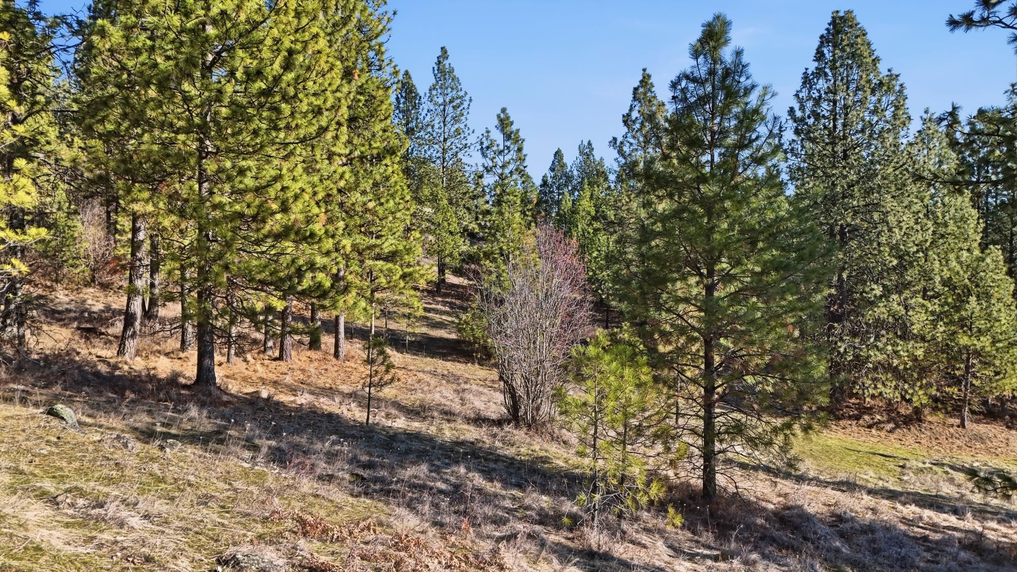 Lot 15 Jack Ln - Photo 11