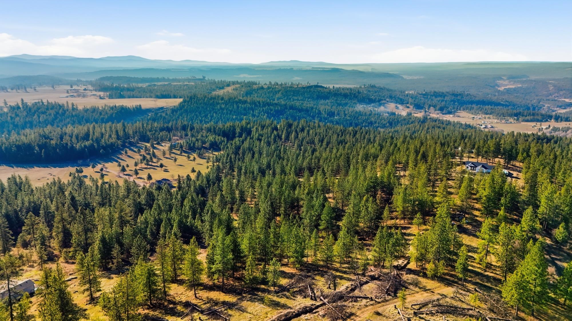 Lot 15 Jack Ln - Photo 16