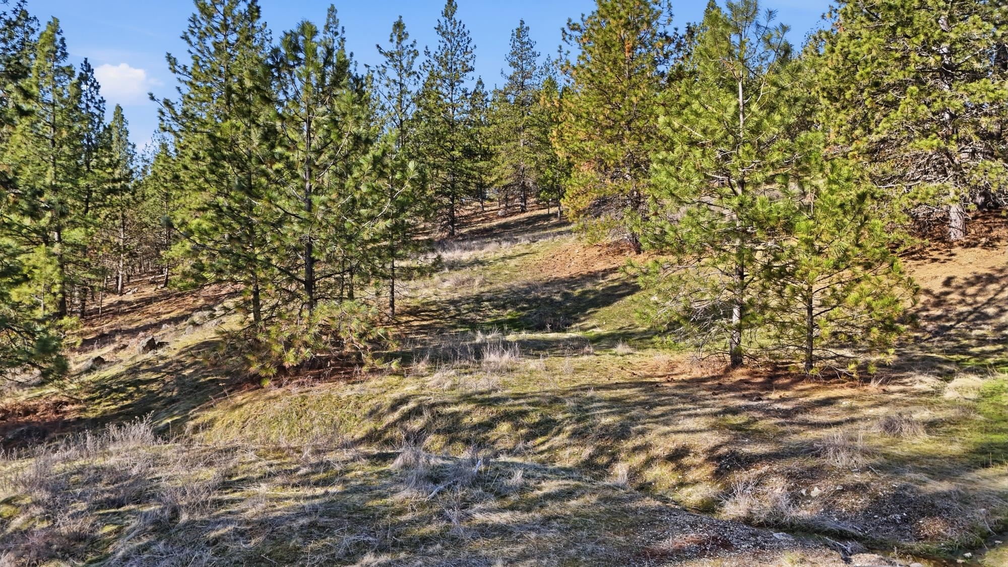 Lot 15 Jack Ln - Photo 9