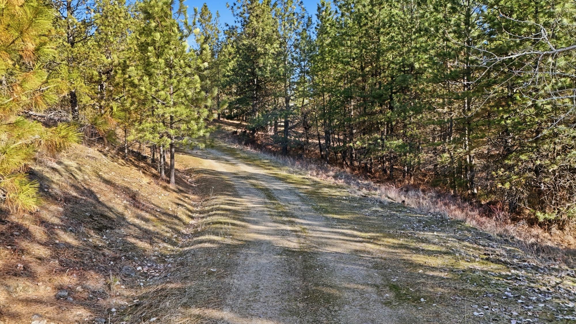 Lot 15 Jack Ln - Photo 10