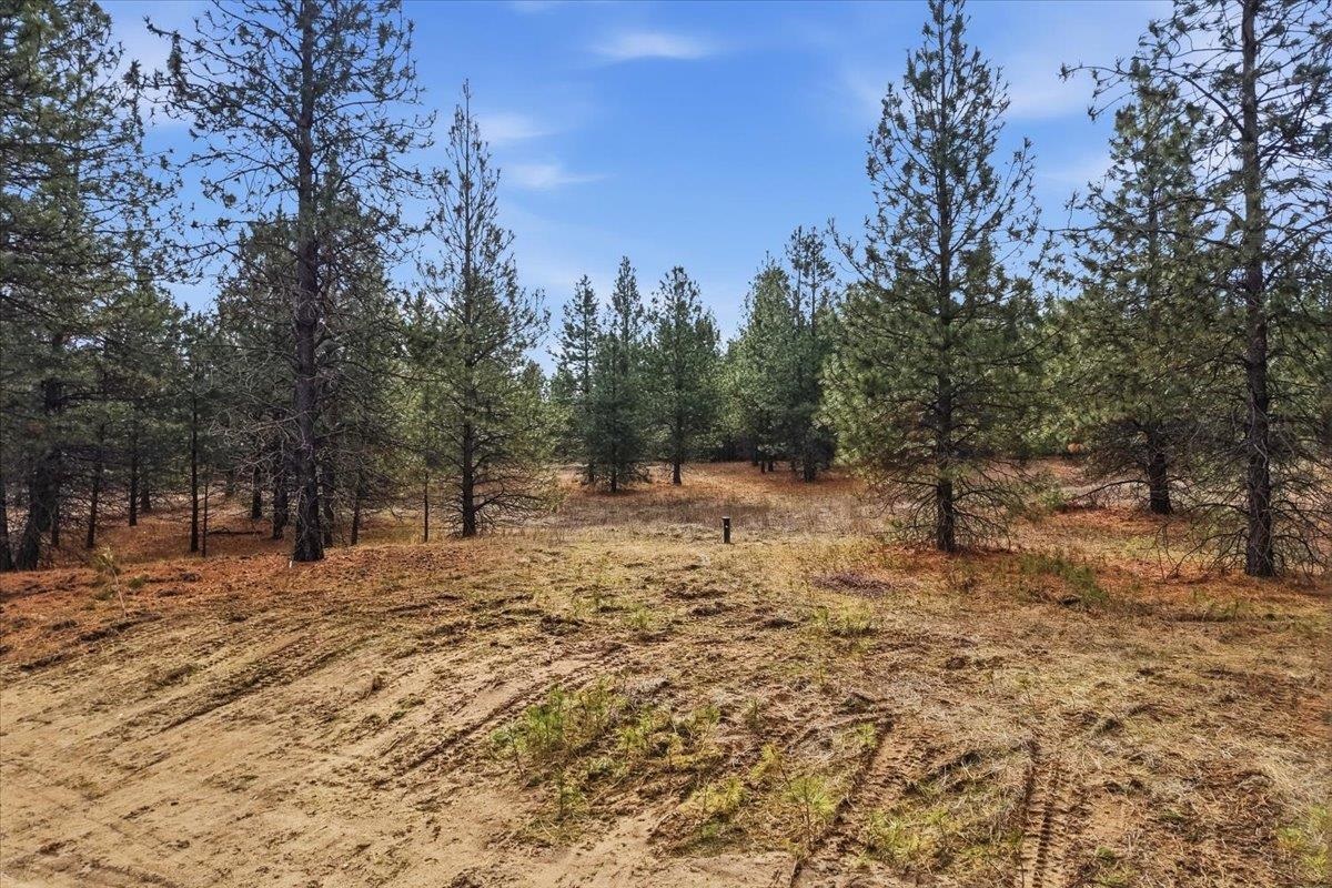 65xx Whispering Pines Way - Photo 1