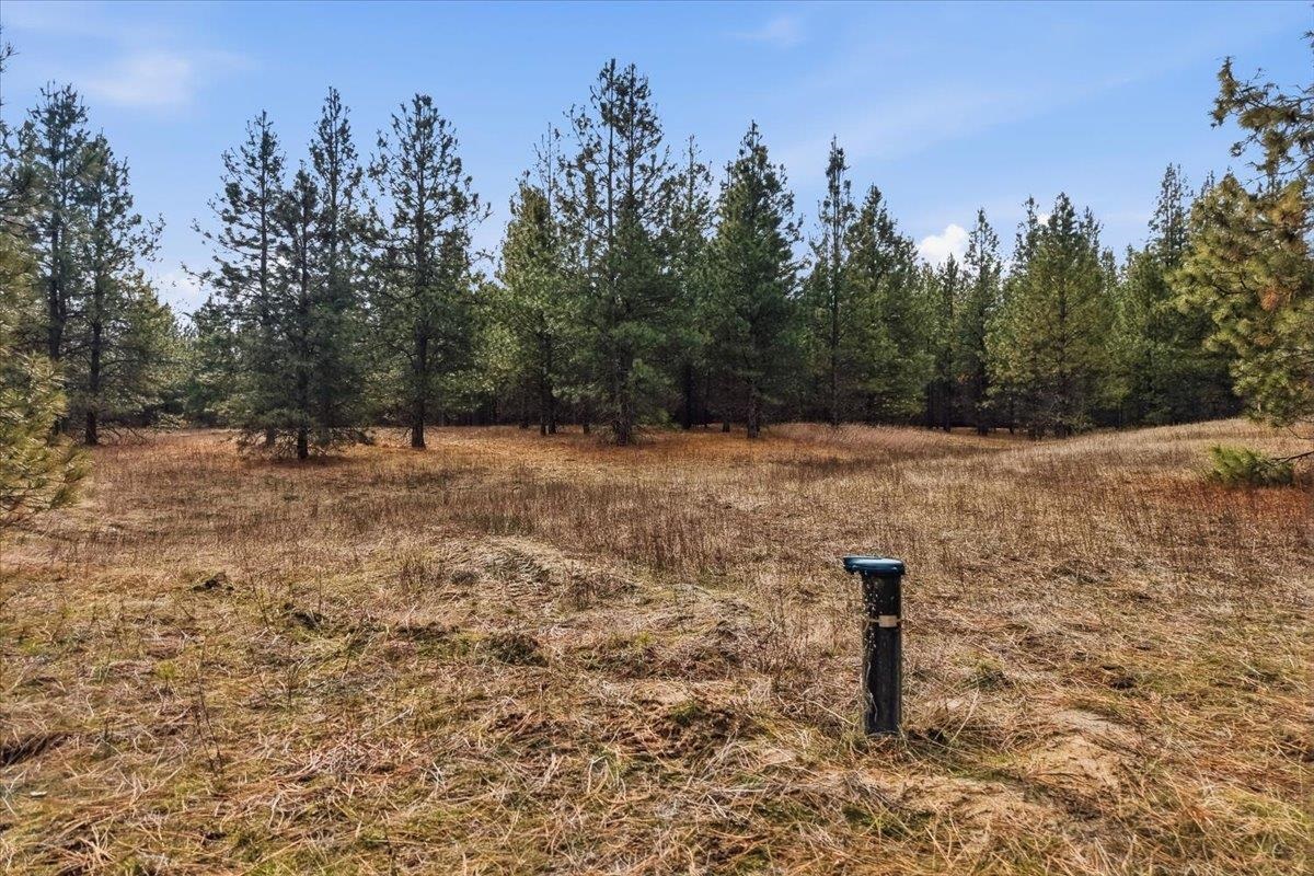 65xx Whispering Pines Way - Photo 2