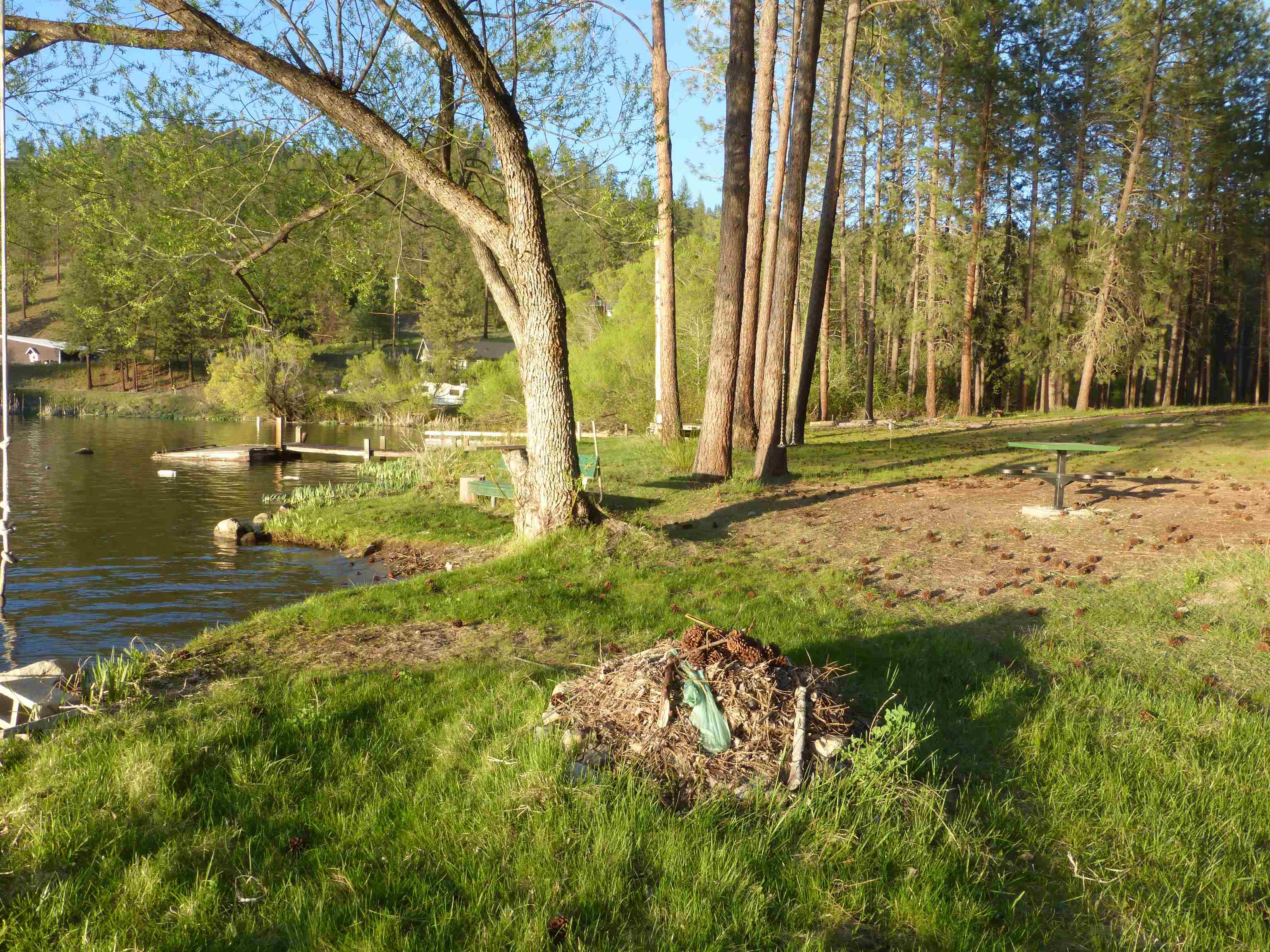 65xx Whispering Pines Way - Photo 12
