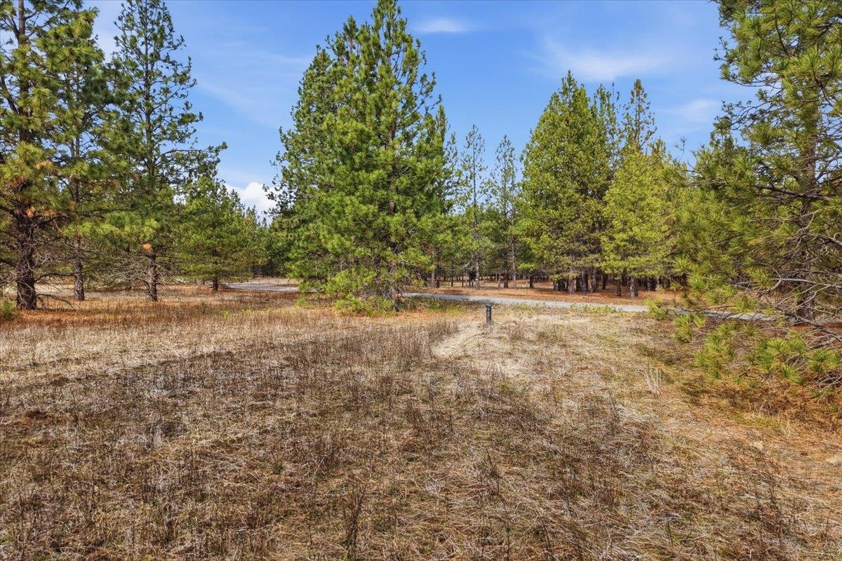 65xx Whispering Pines Way - Photo 3