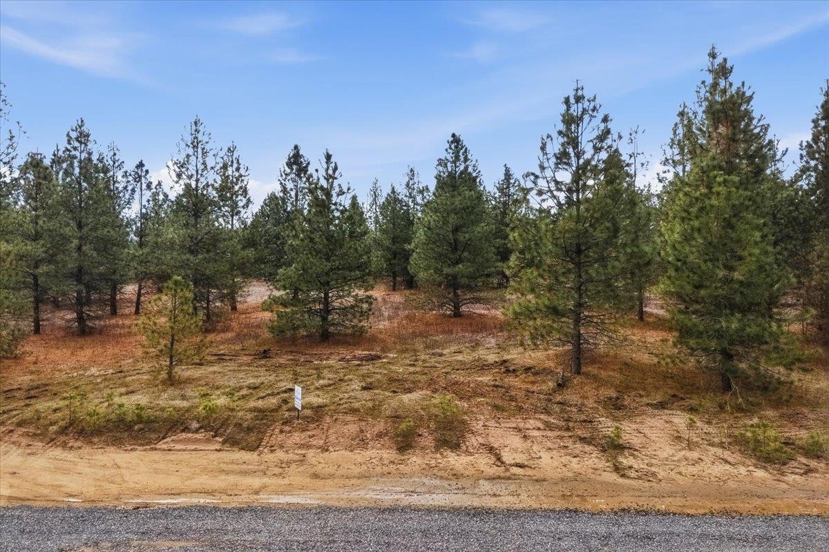 65xx Whispering Pines Way - Photo 5