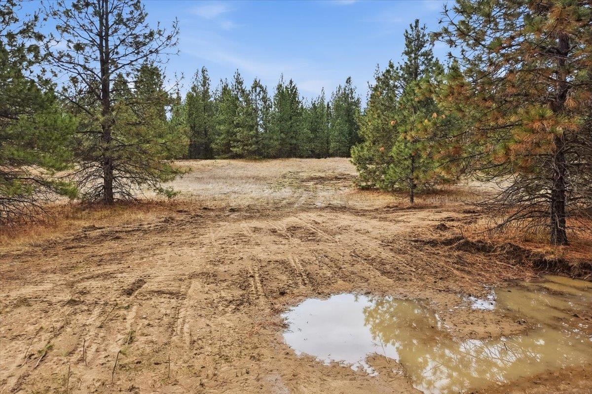 65xx Whispering Pines Way - Photo 6