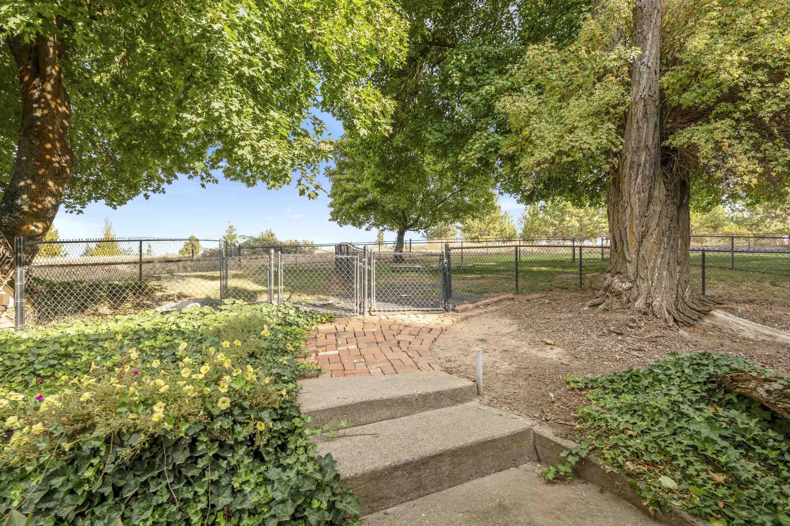 3351 W Lone Pine Rd - Photo 33