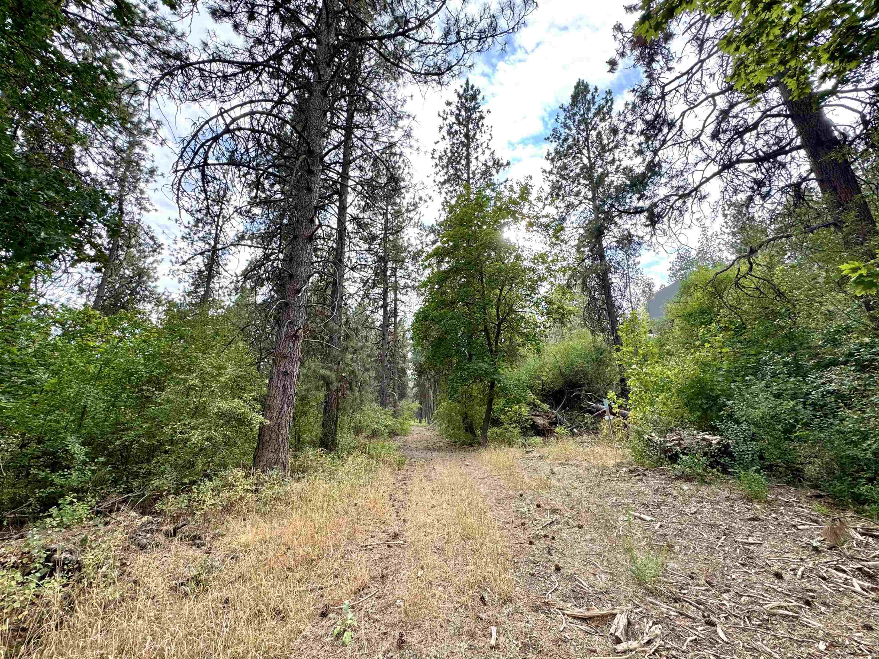 3611 W Rosamond Ave - Photo 4