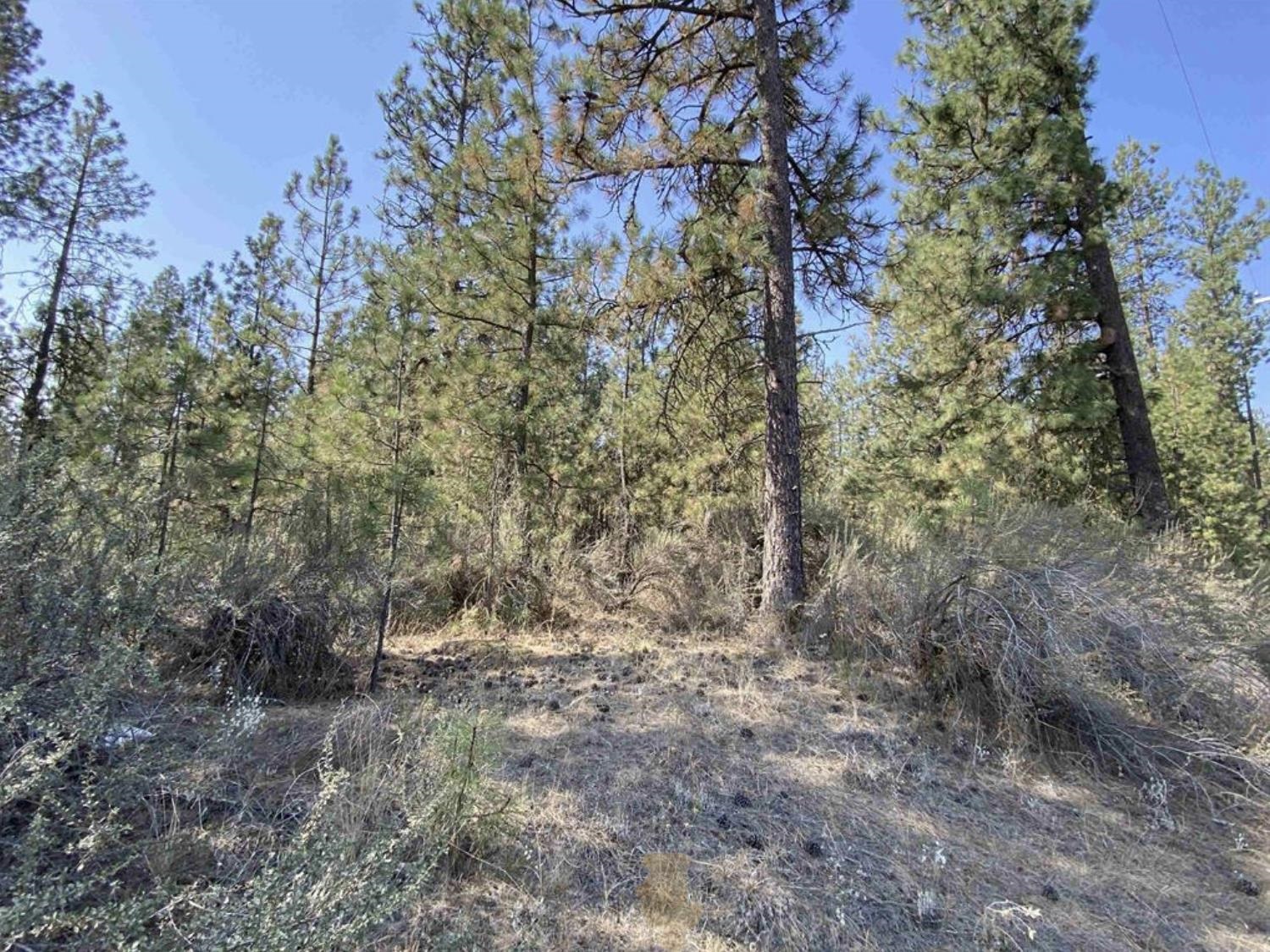 5xxx WA 291 Hwy - Photo 1