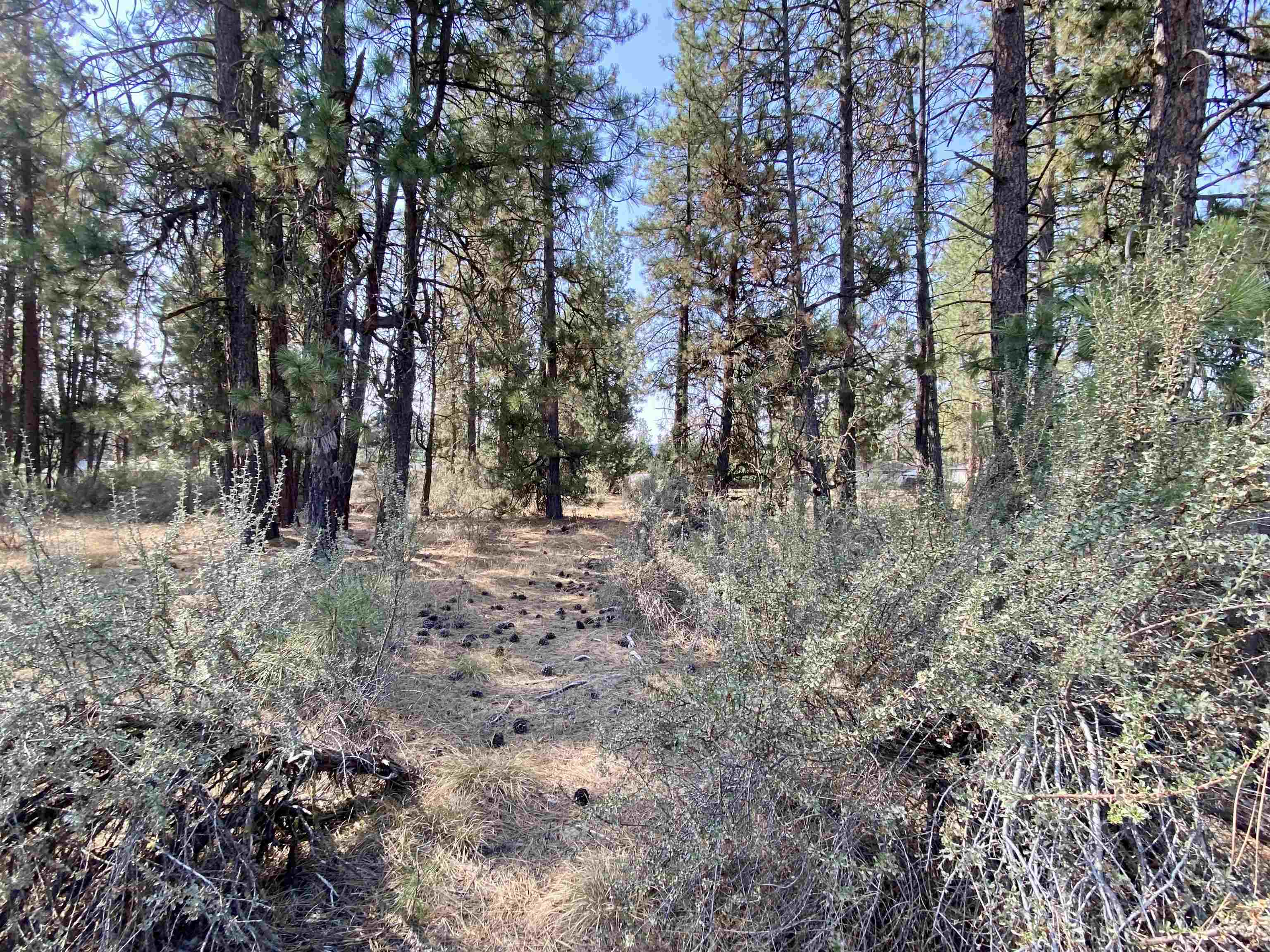 5xxx WA 291 Hwy - Photo 11