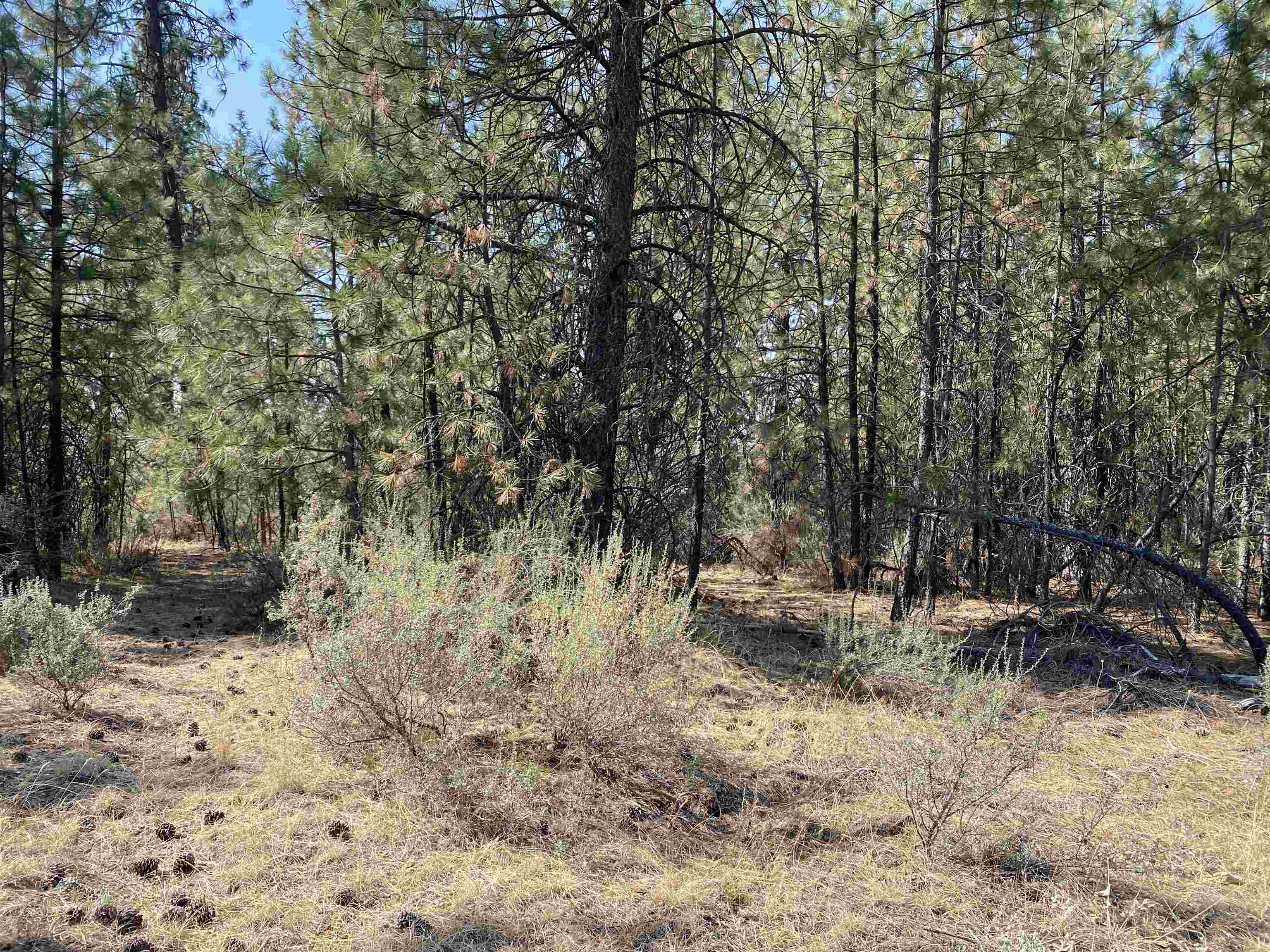 5xxx WA 291 Hwy - Photo 12
