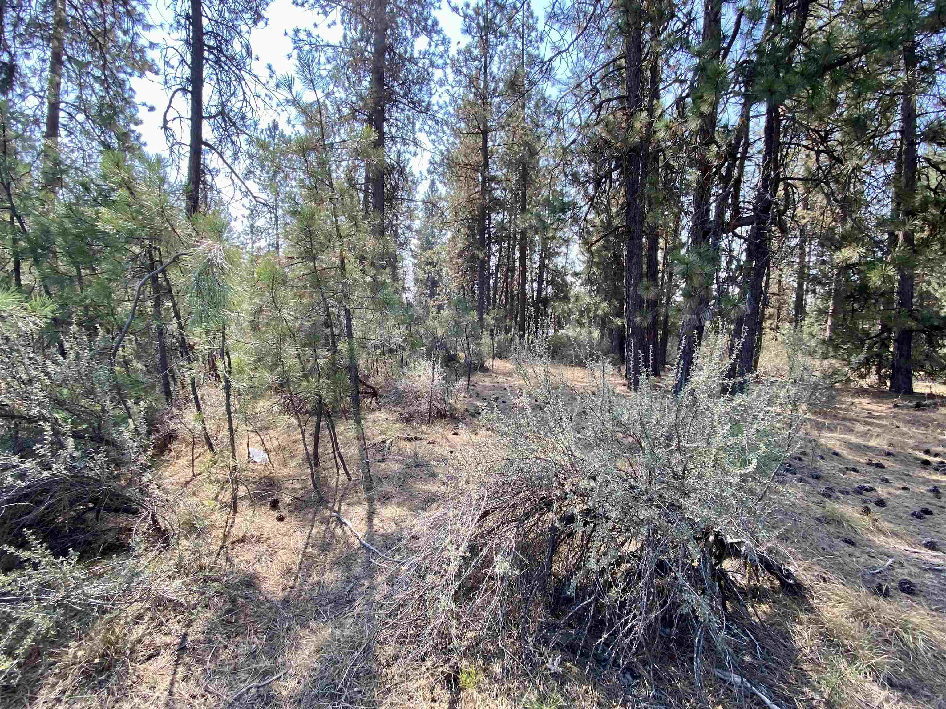 5xxx WA 291 Hwy - Photo 13