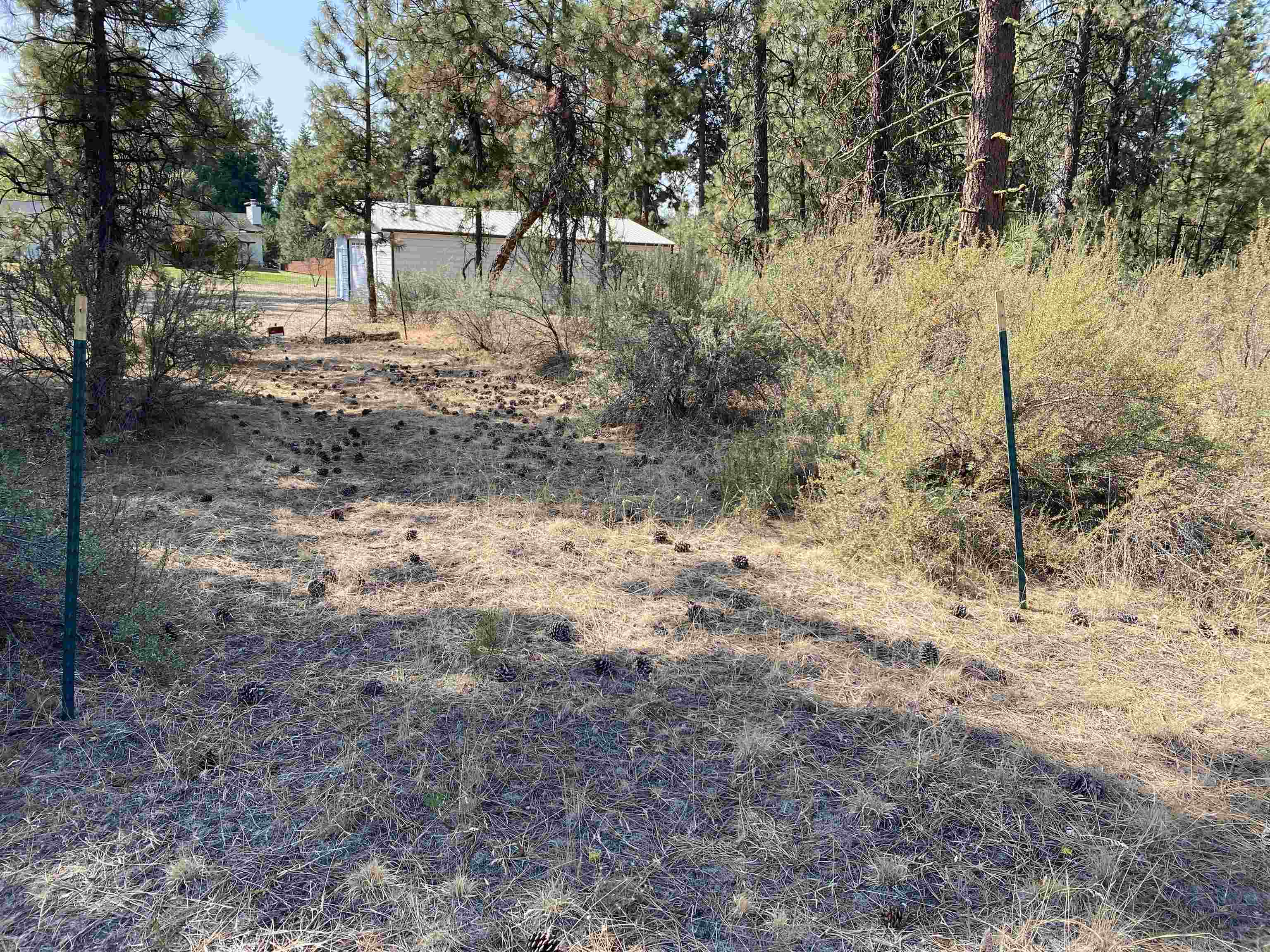 5xxx WA 291 Hwy - Photo 14