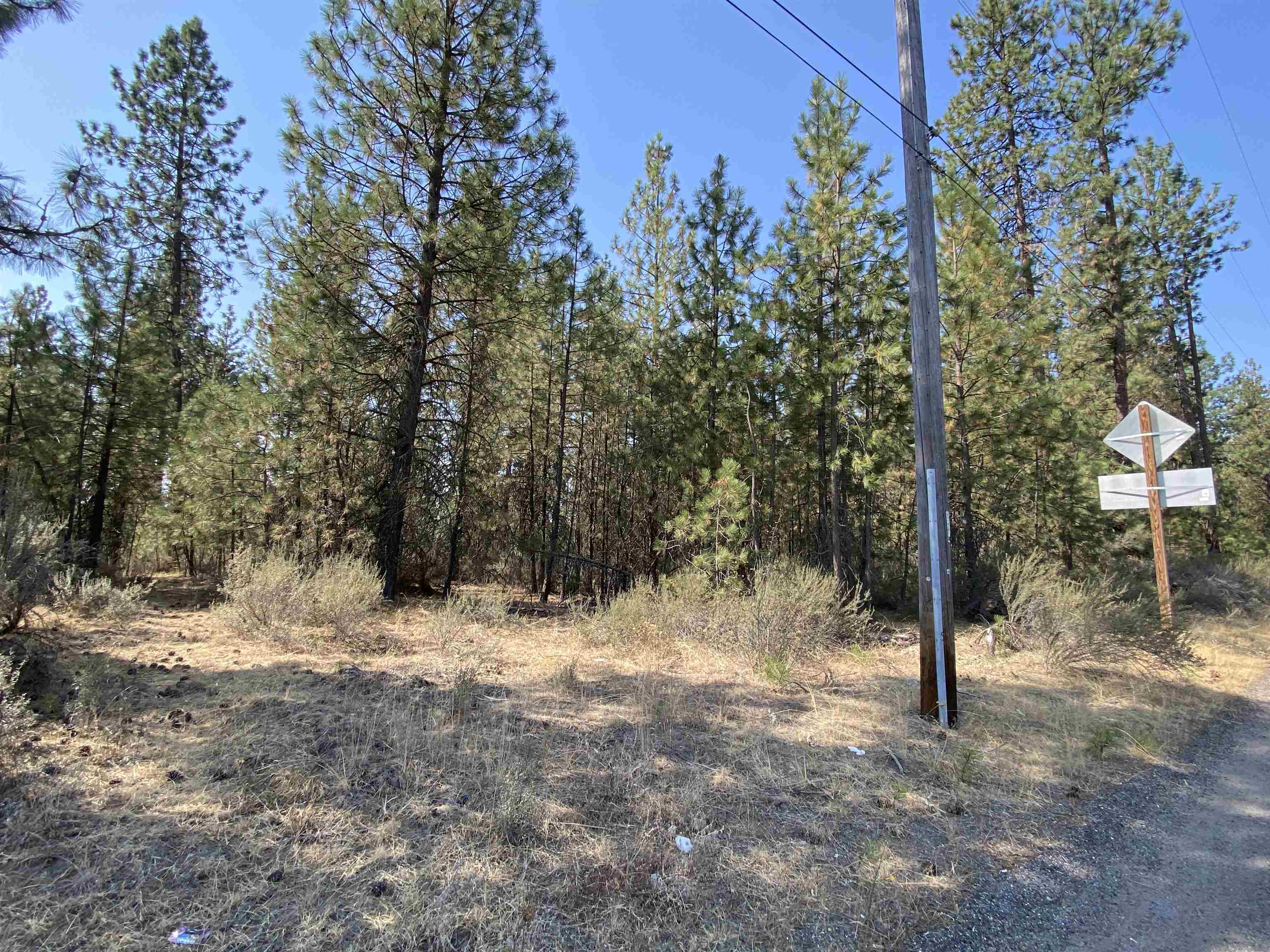 5xxx WA 291 Hwy - Photo 16