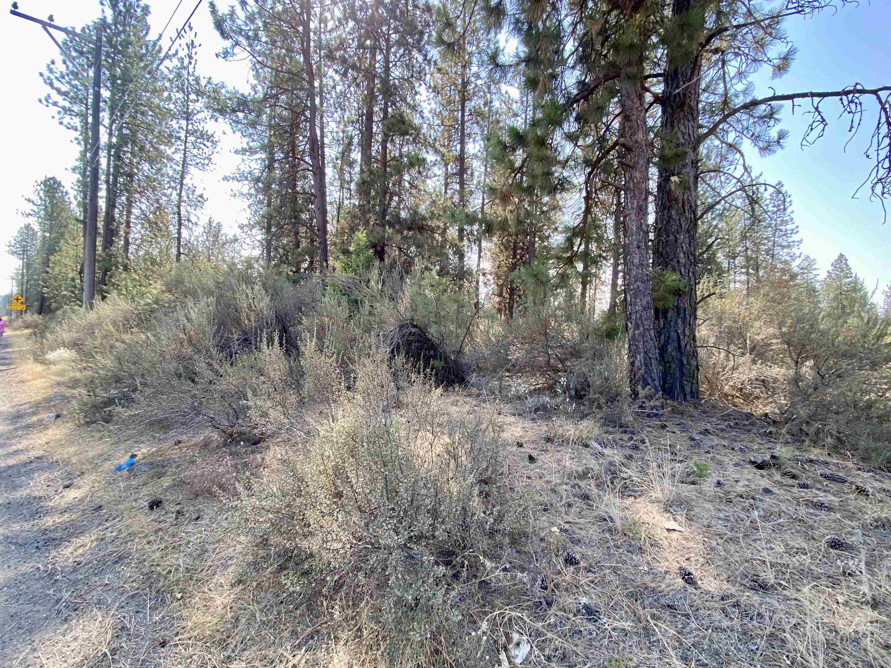 5xxx WA 291 Hwy - Photo 17