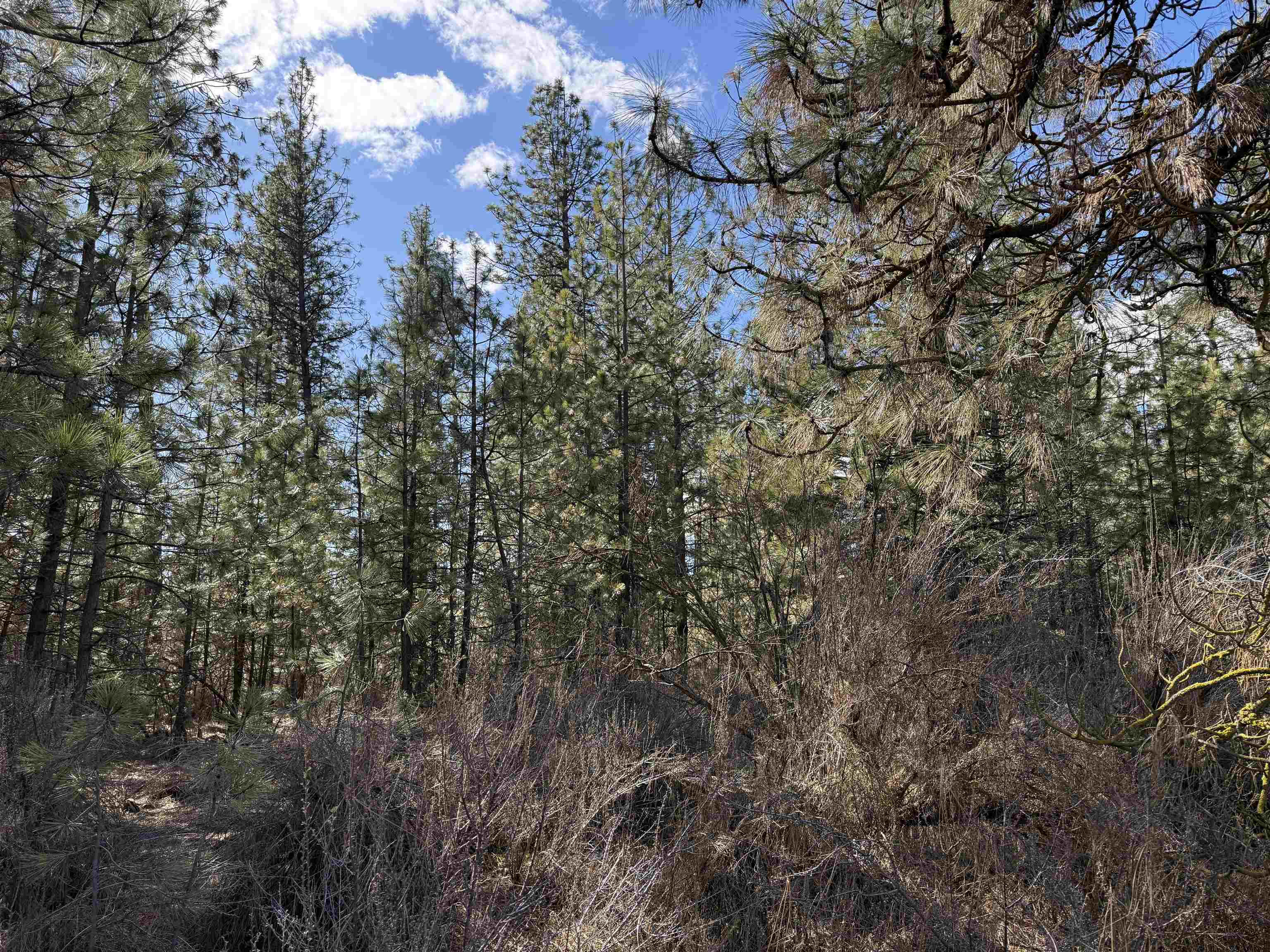 5xxx WA 291 Hwy - Photo 4
