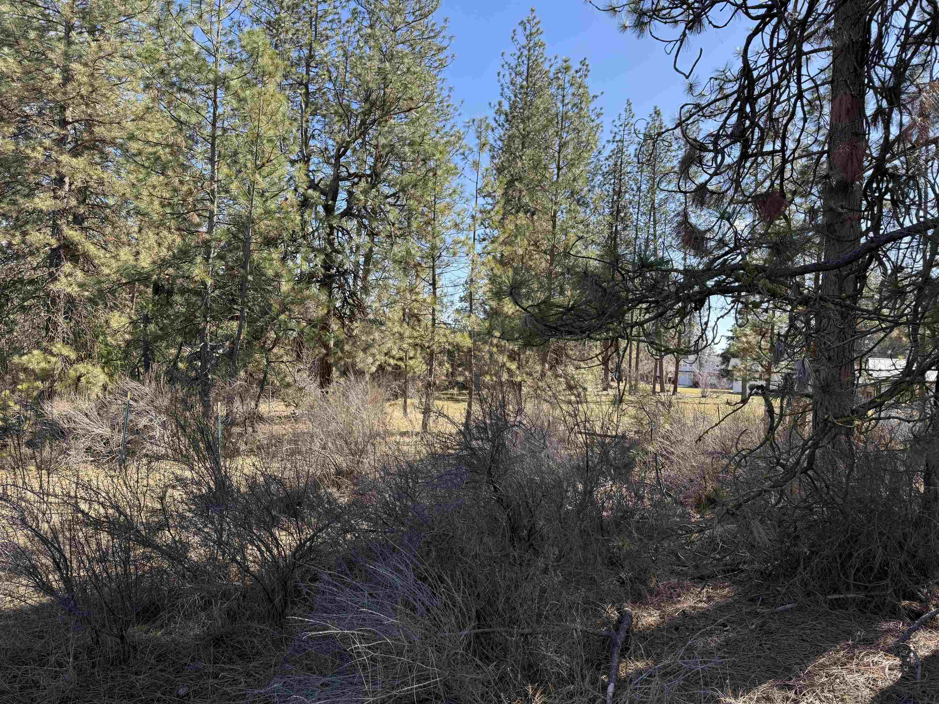 5xxx WA 291 Hwy - Photo 6