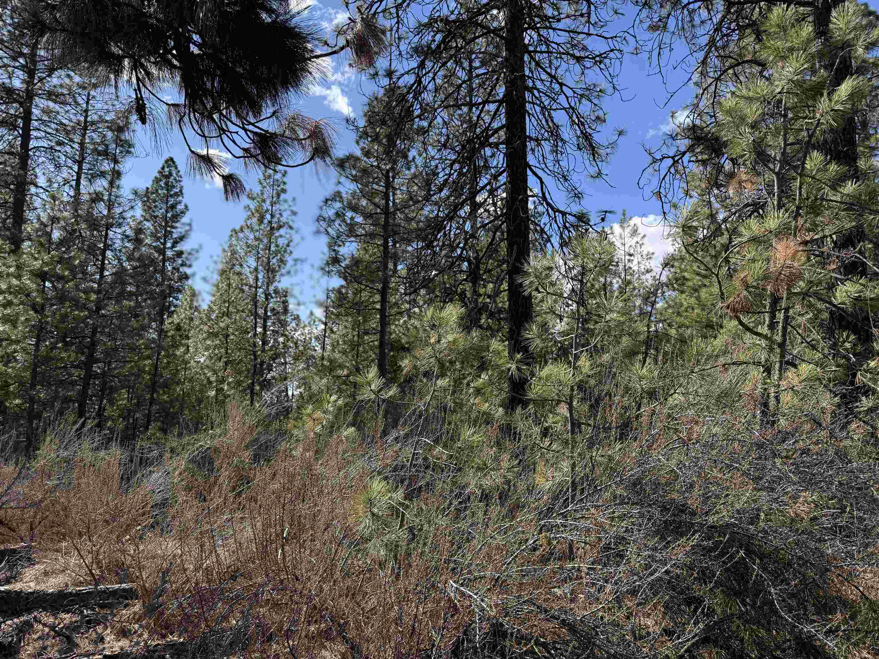 5xxx WA 291 Hwy - Photo 7