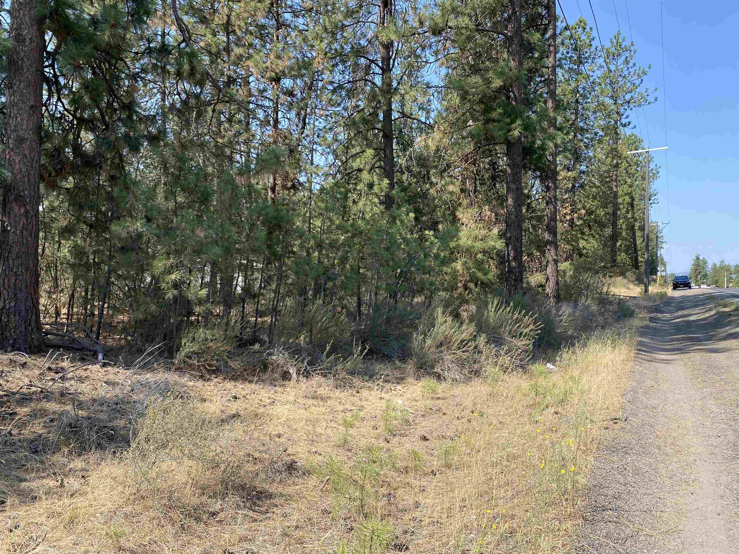 5xxx WA 291 Hwy - Photo 8