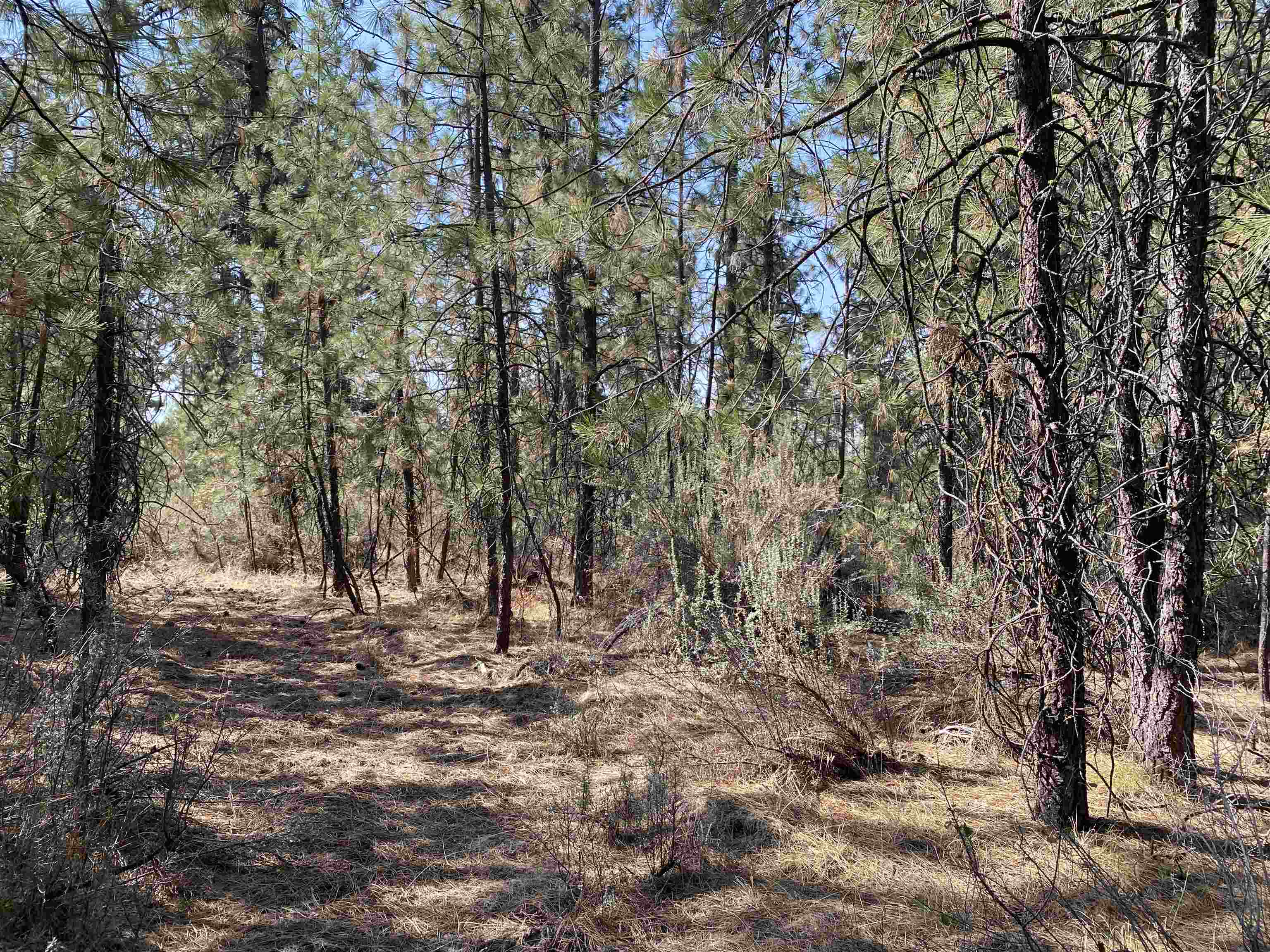 5xxx WA 291 Hwy - Photo 10