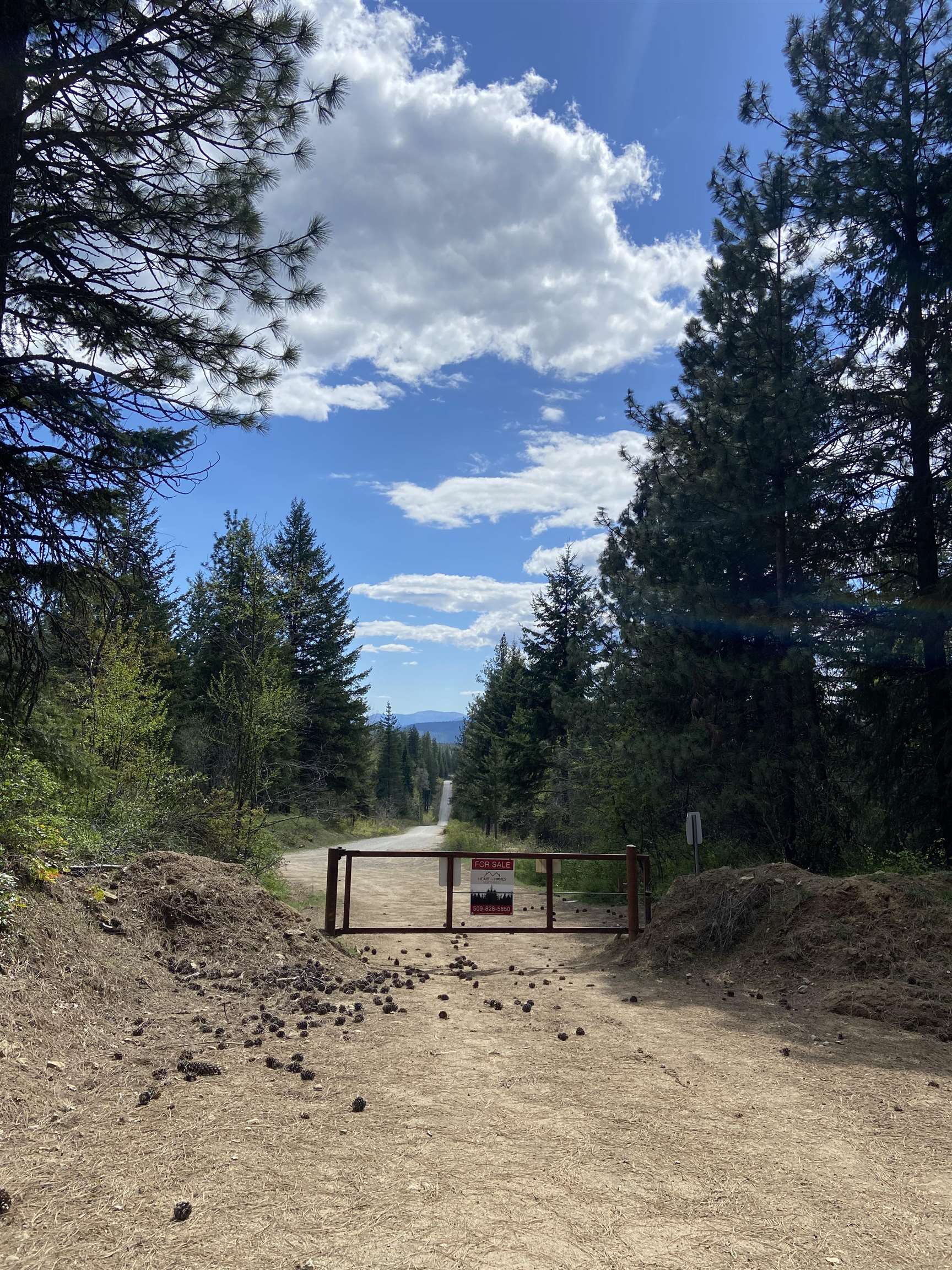 896 Rocky Mountain Rd - Photo 1