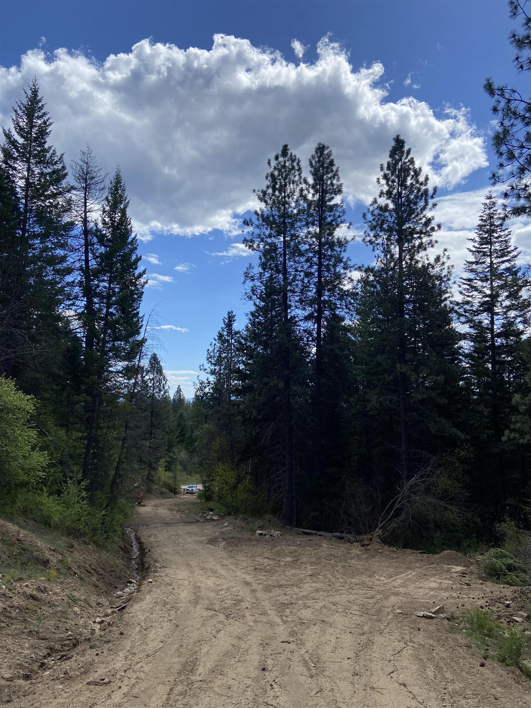 896 Rocky Mountain Rd - Photo 2