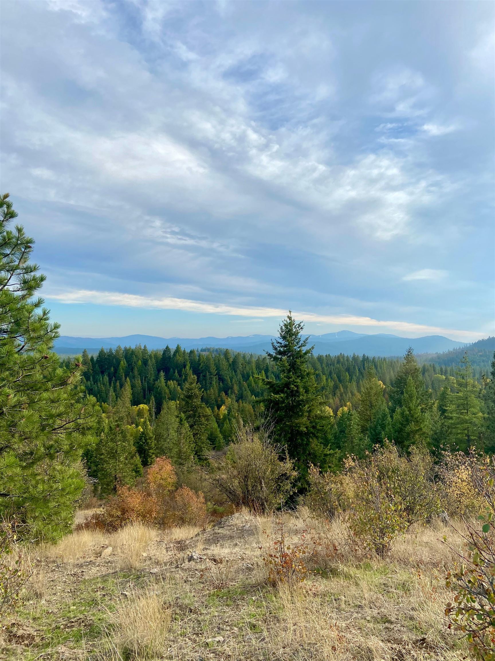 896 Rocky Mountain Rd - Photo 11