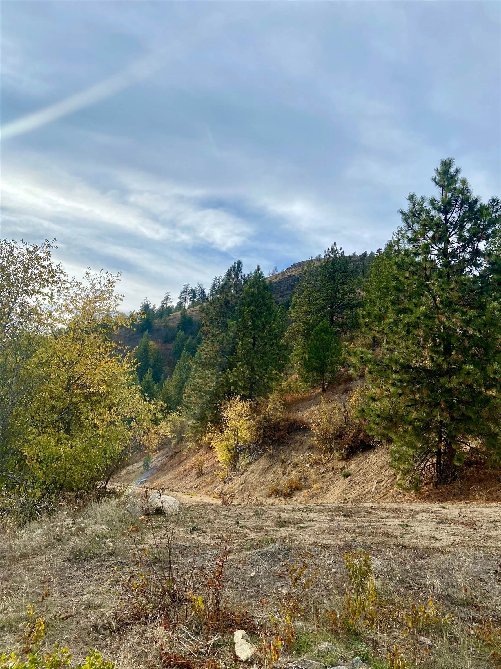 896 Rocky Mountain Rd - Photo 12