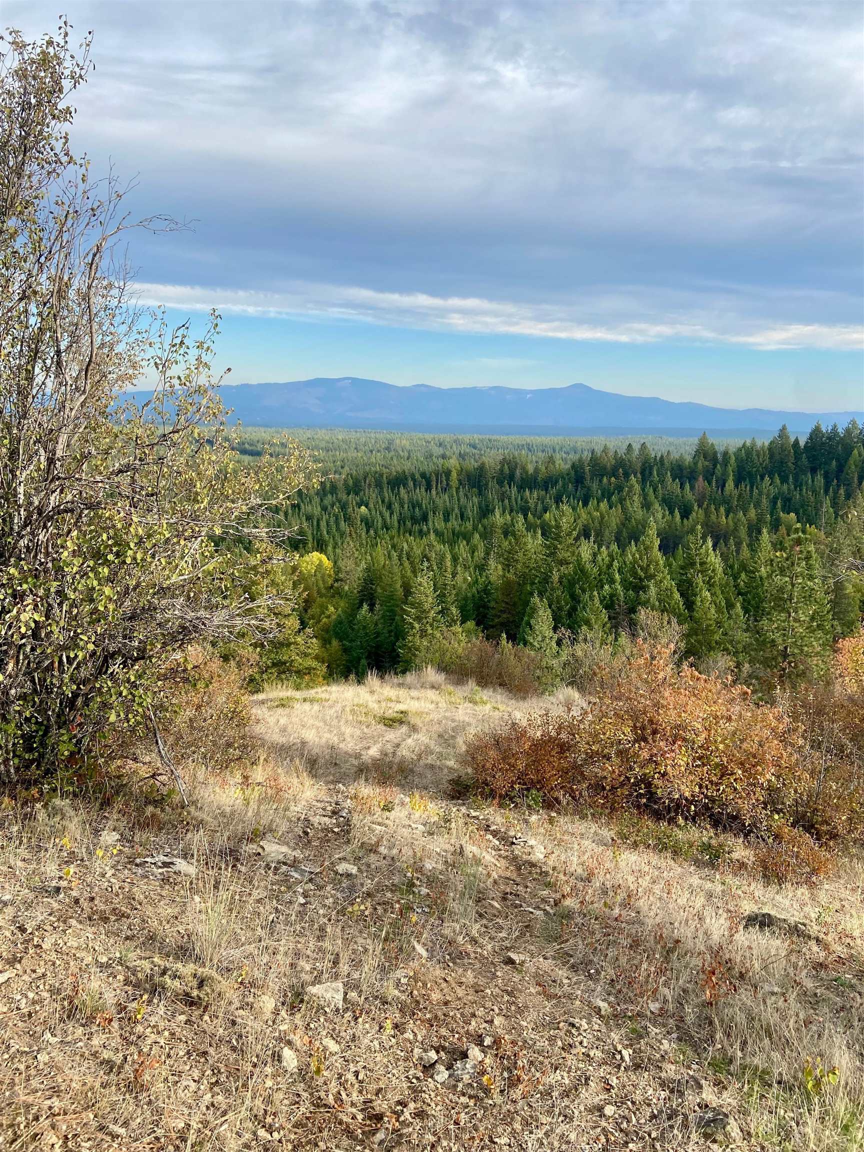 896 Rocky Mountain Rd - Photo 13