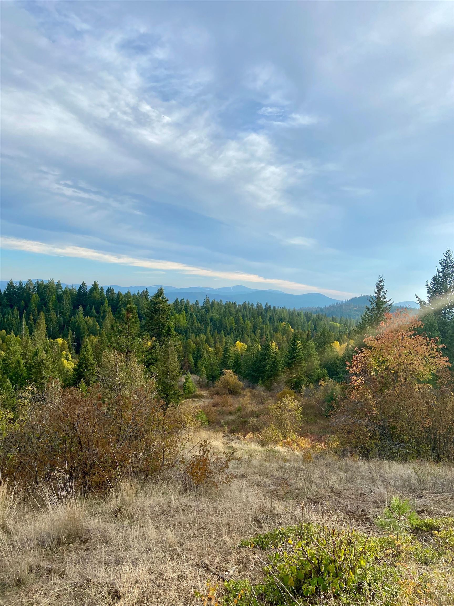 896 Rocky Mountain Rd - Photo 14