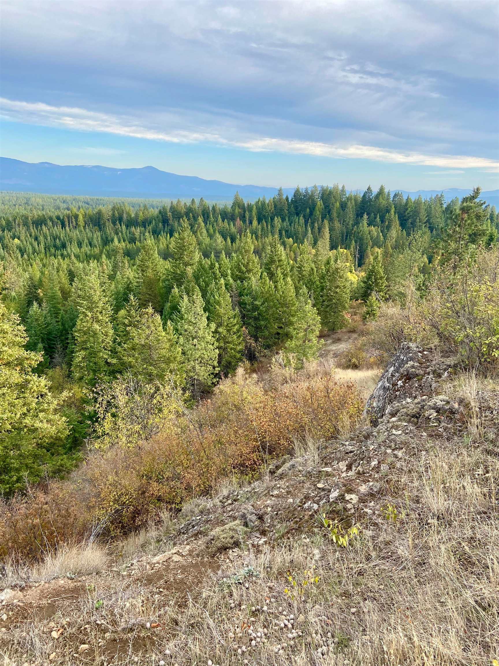 896 Rocky Mountain Rd - Photo 15