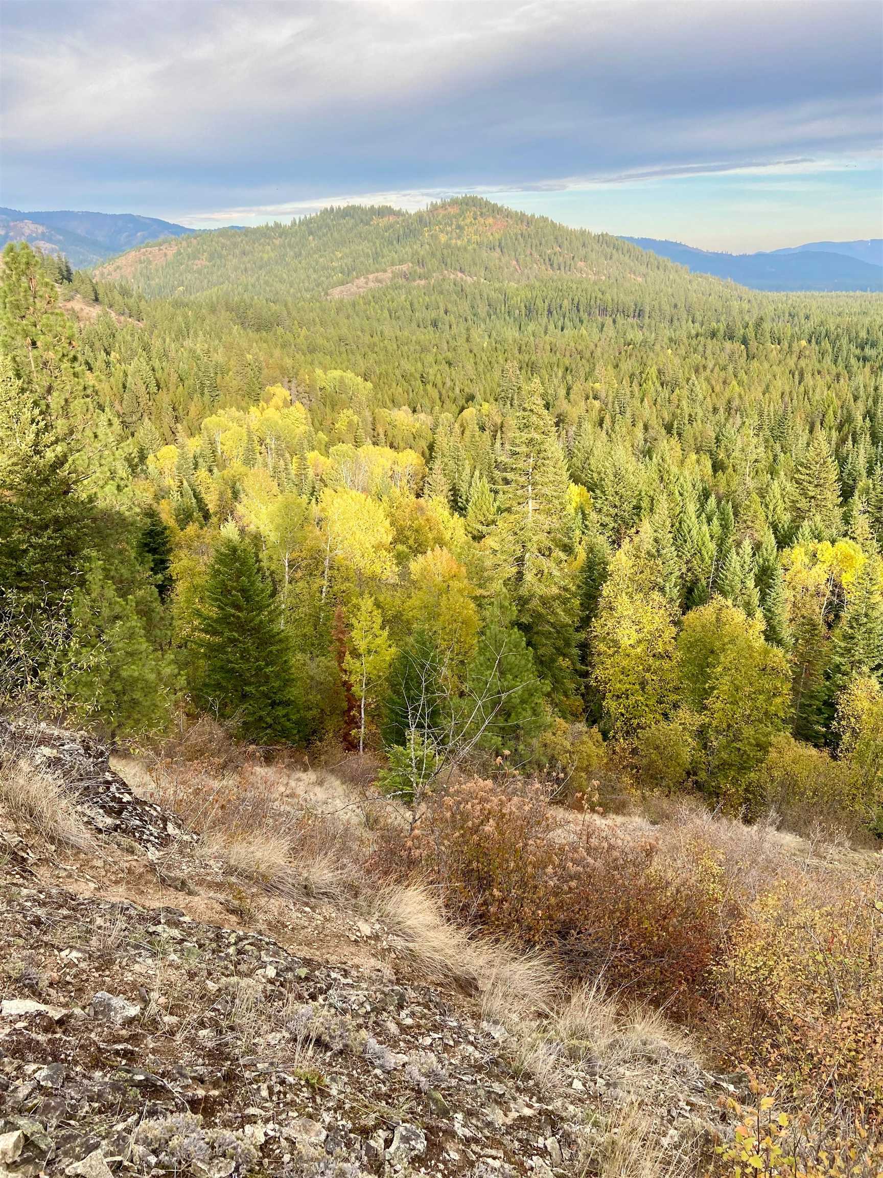 896 Rocky Mountain Rd - Photo 16