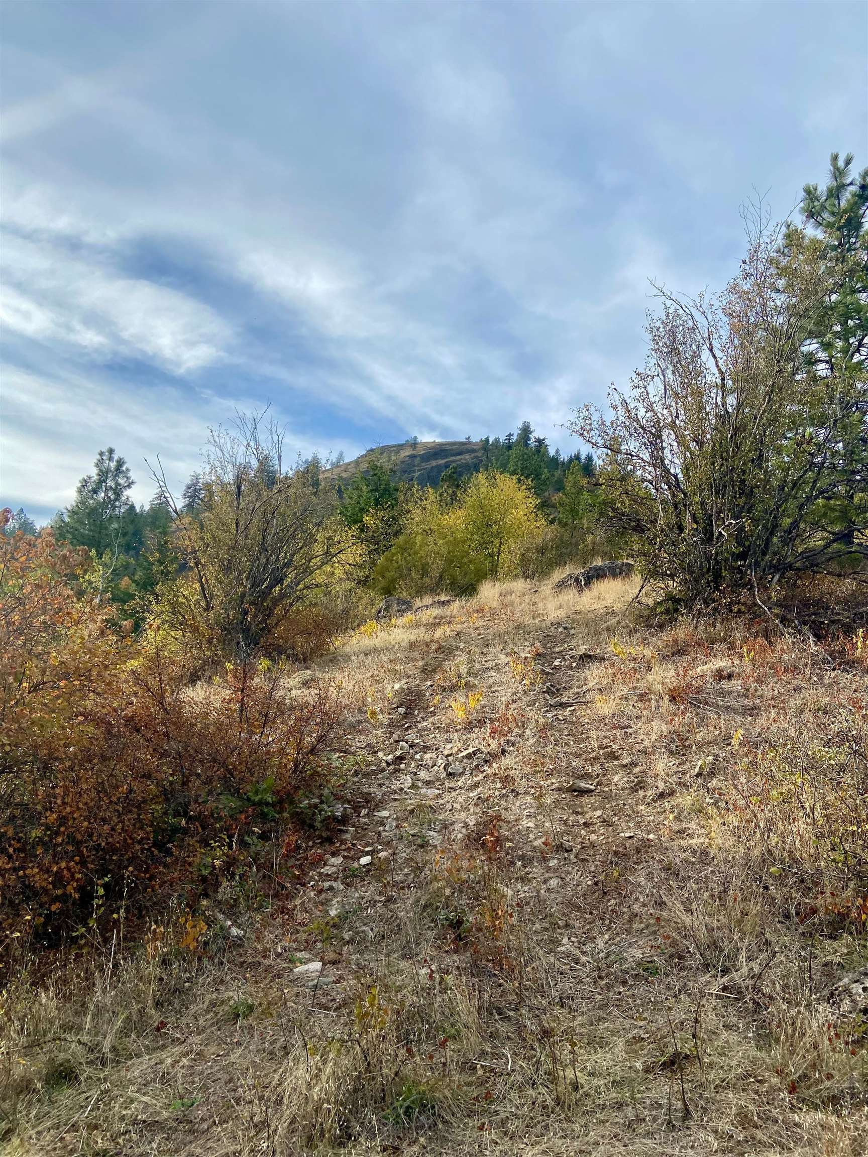 896 Rocky Mountain Rd - Photo 17