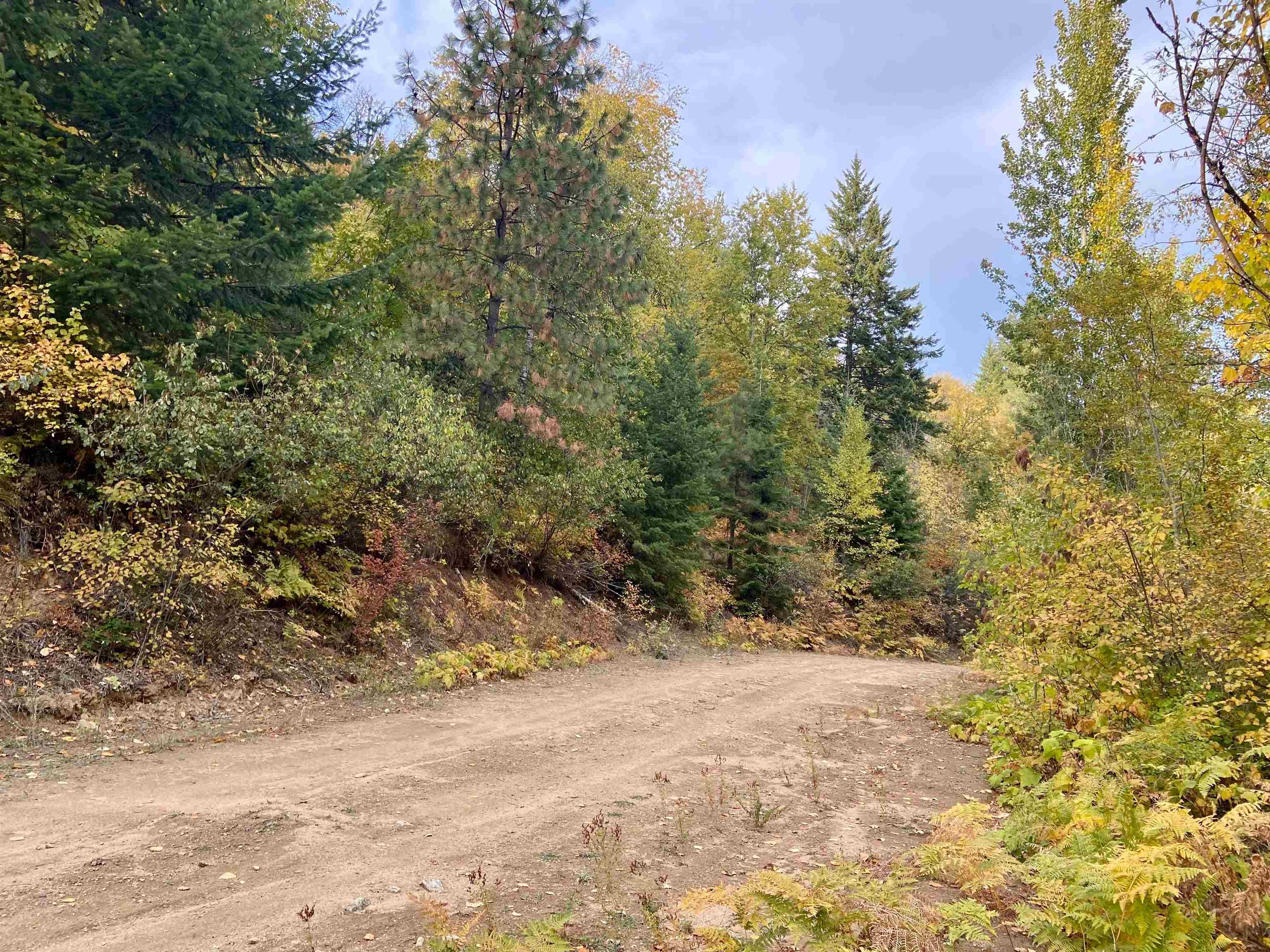 896 Rocky Mountain Rd - Photo 18