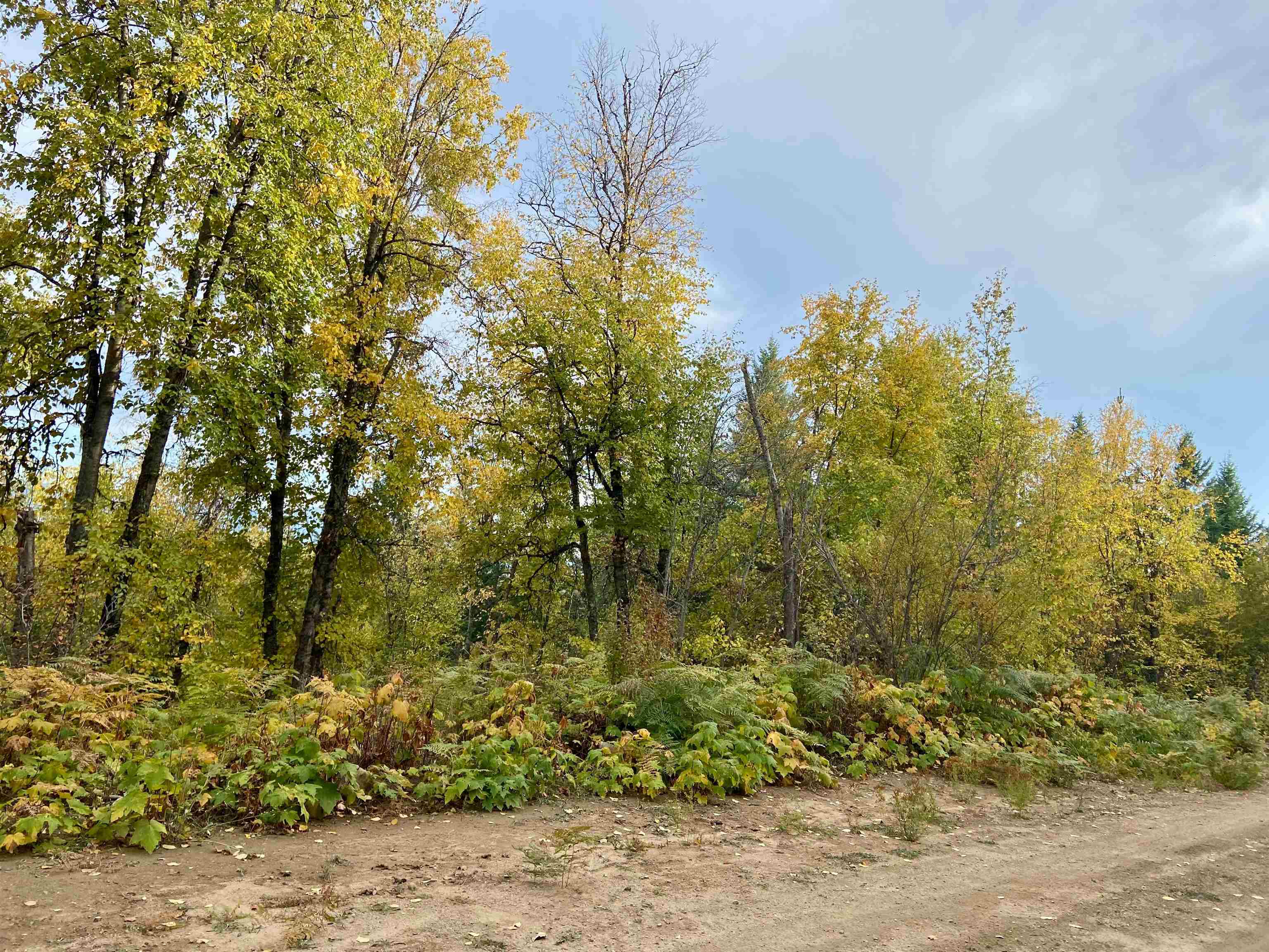 896 Rocky Mountain Rd - Photo 19