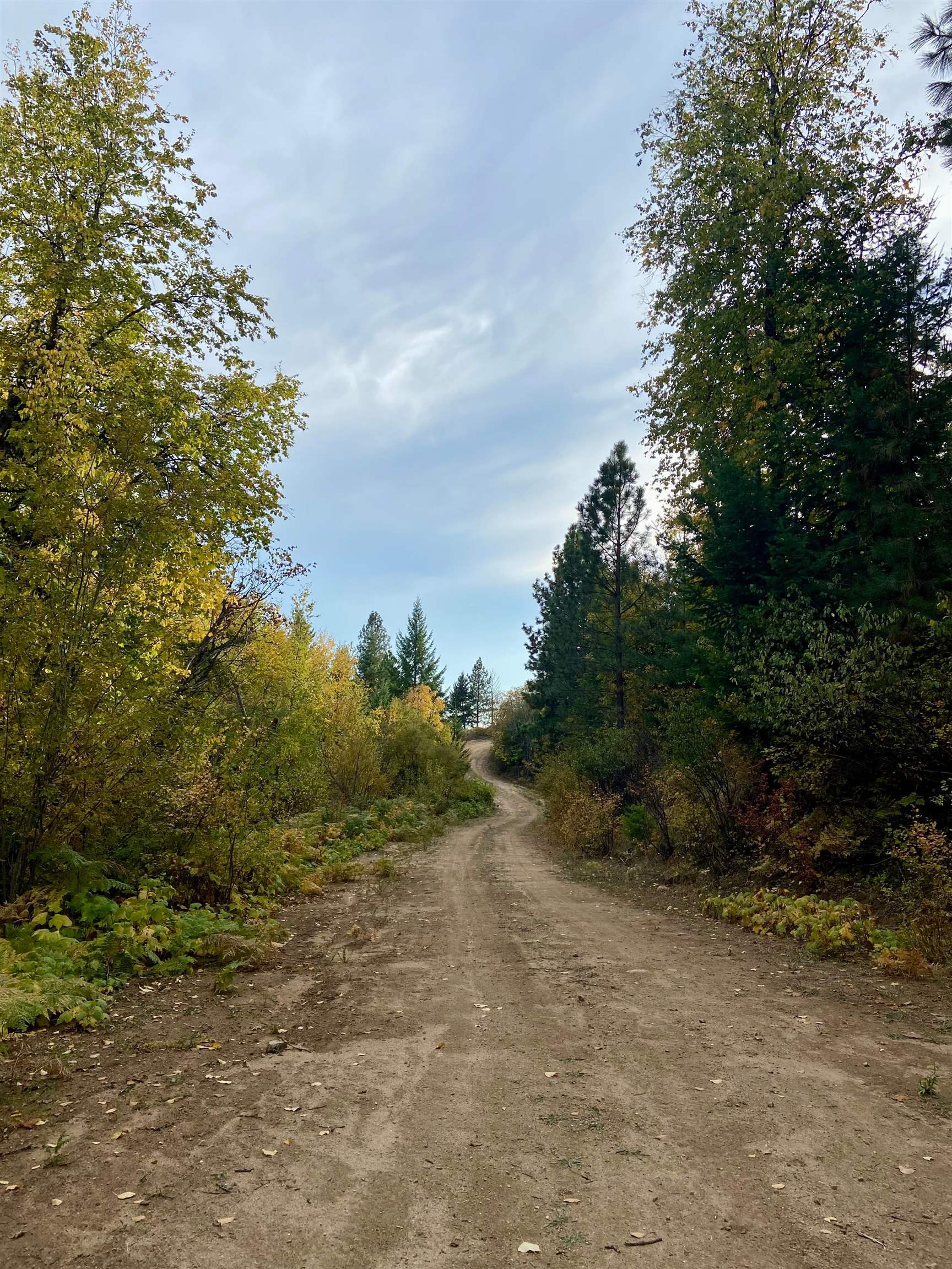 896 Rocky Mountain Rd - Photo 20