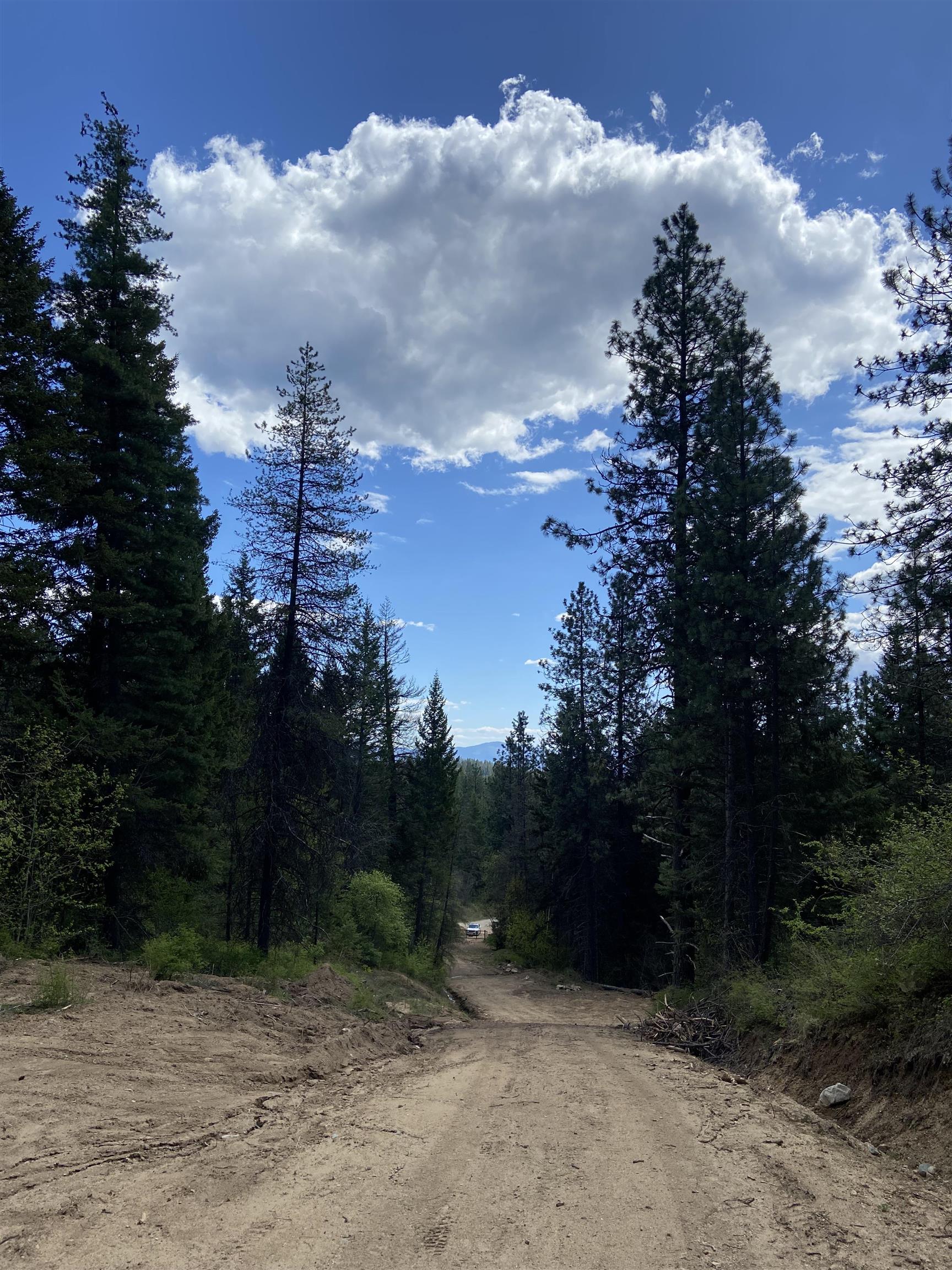 896 Rocky Mountain Rd - Photo 3