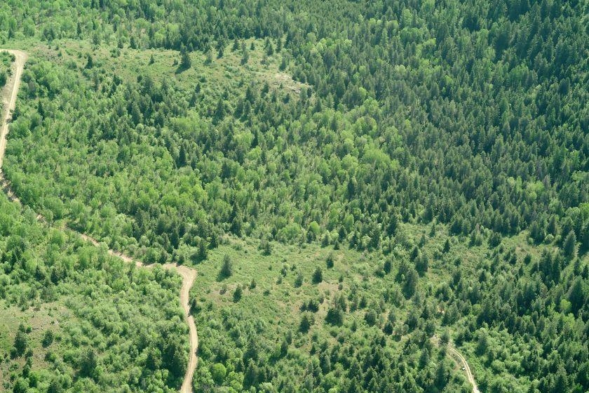 896 Rocky Mountain Rd - Photo 24