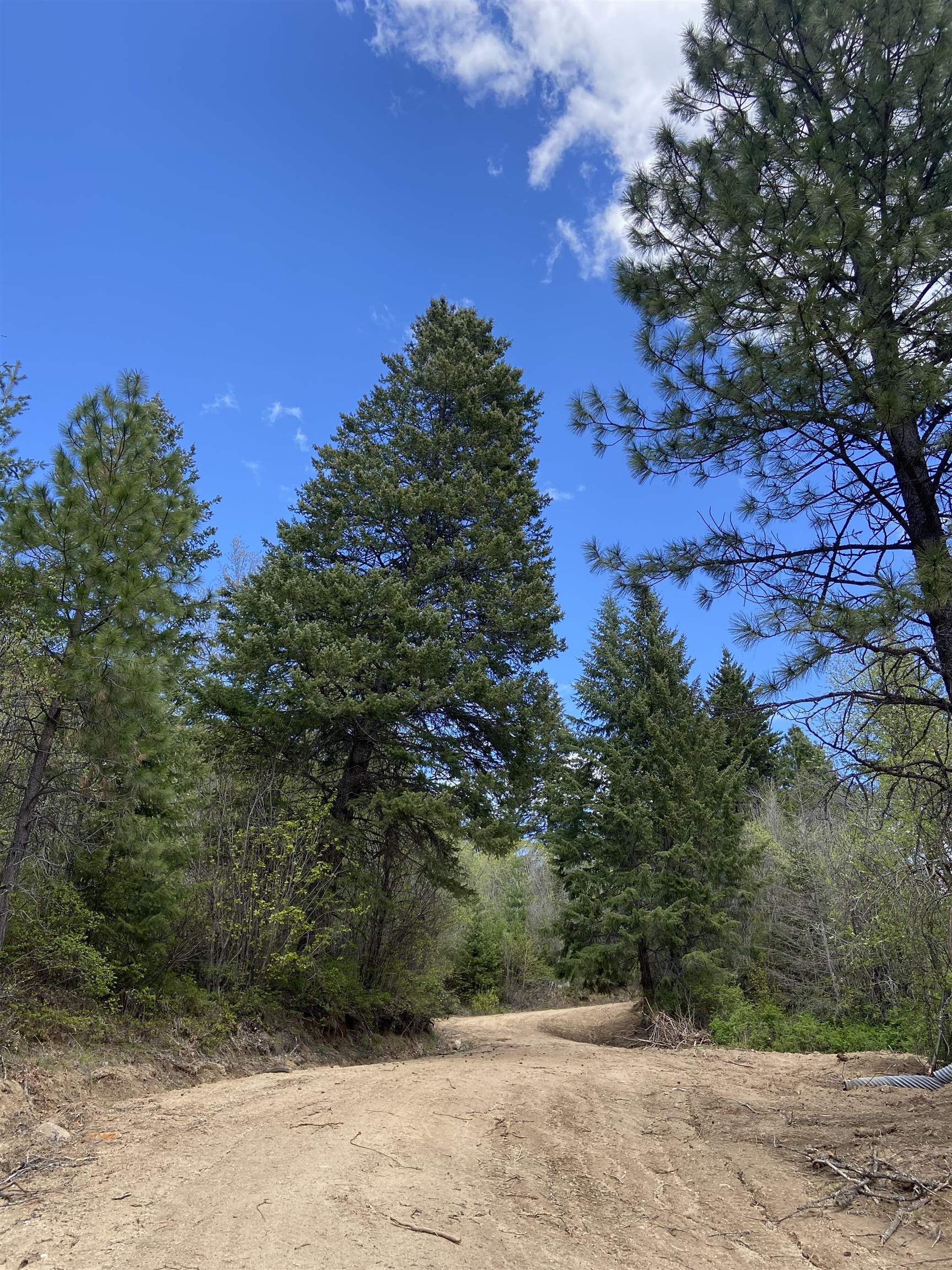 896 Rocky Mountain Rd - Photo 28