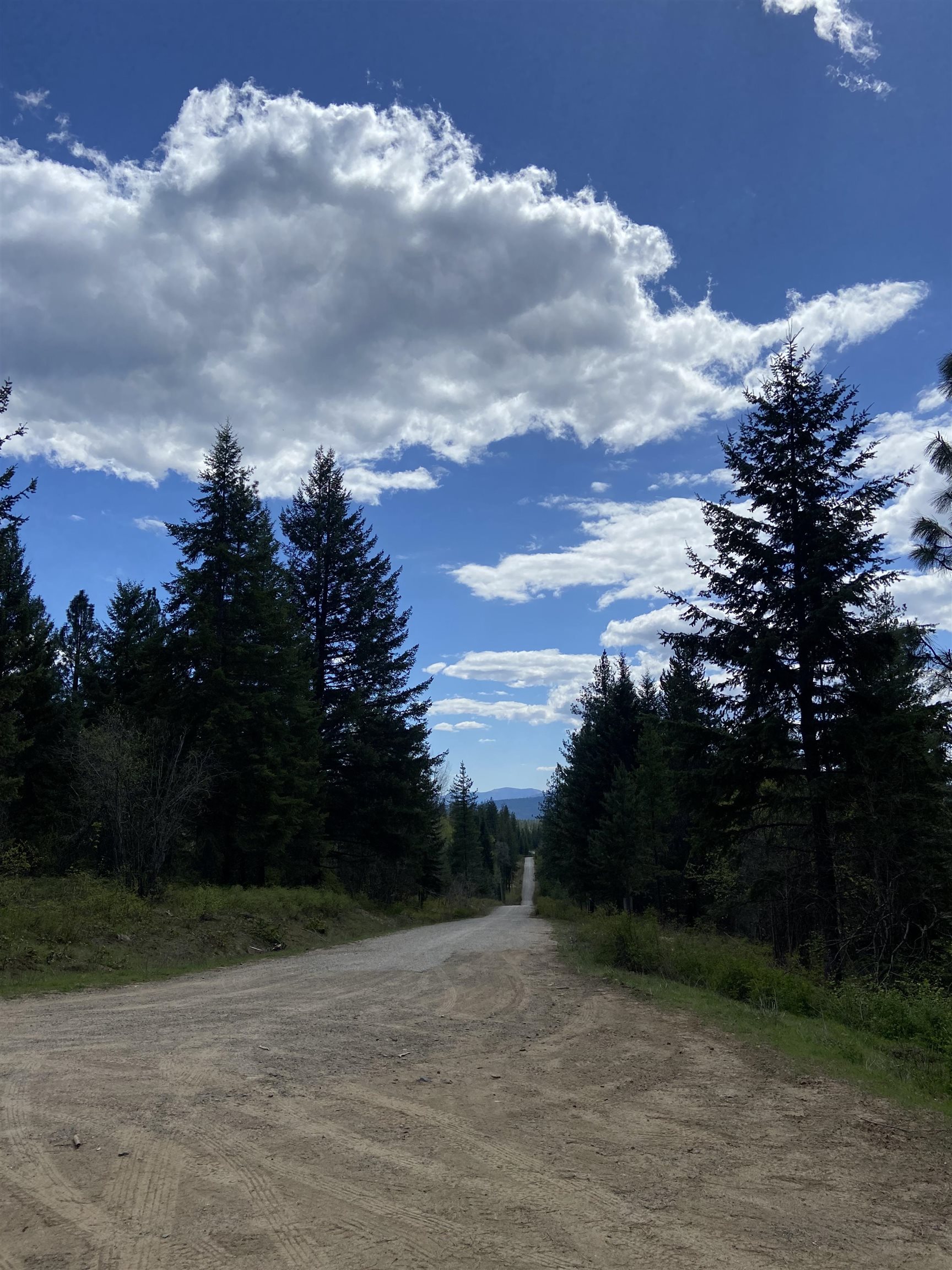 896 Rocky Mountain Rd - Photo 29
