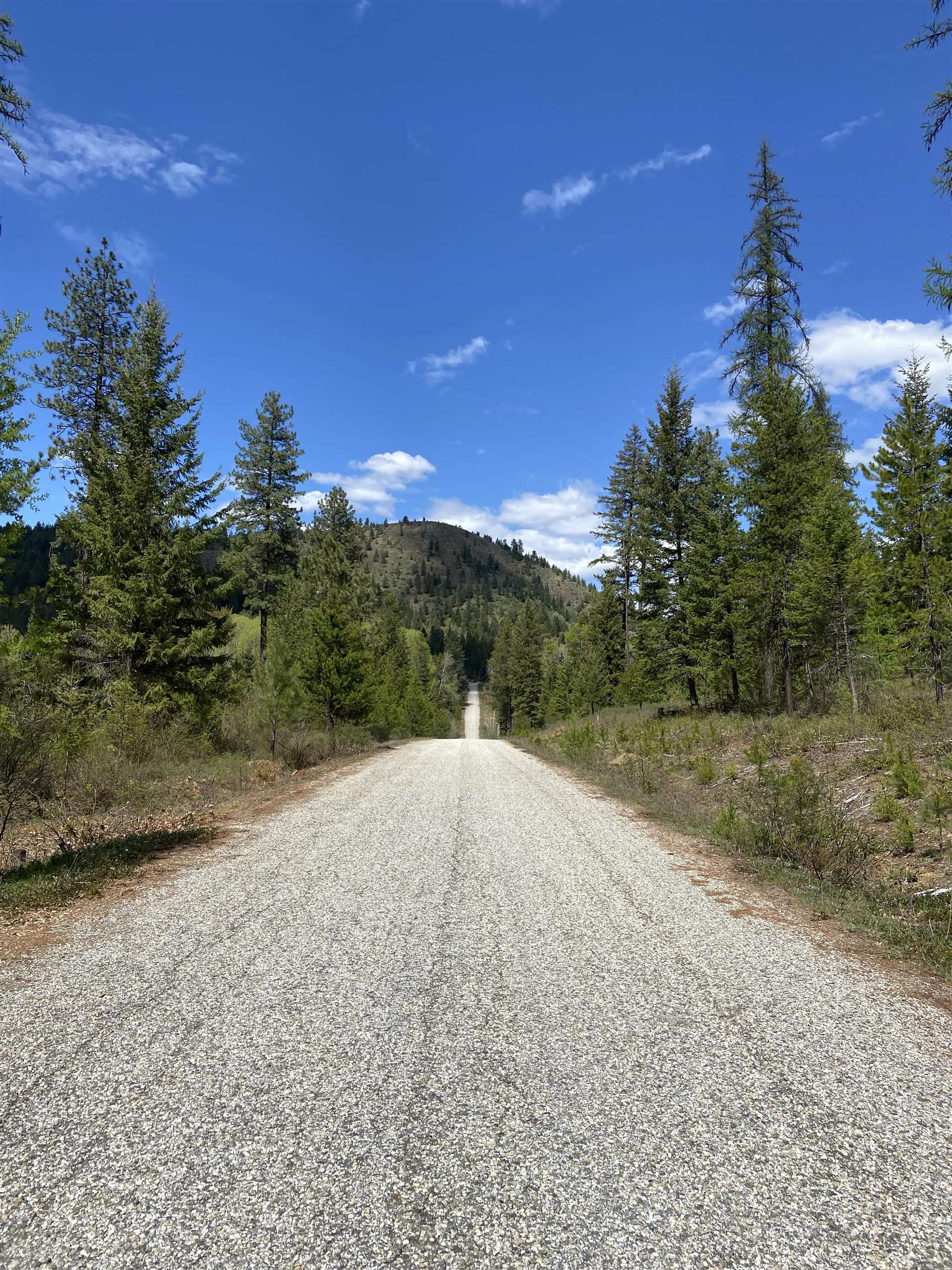 896 Rocky Mountain Rd - Photo 30
