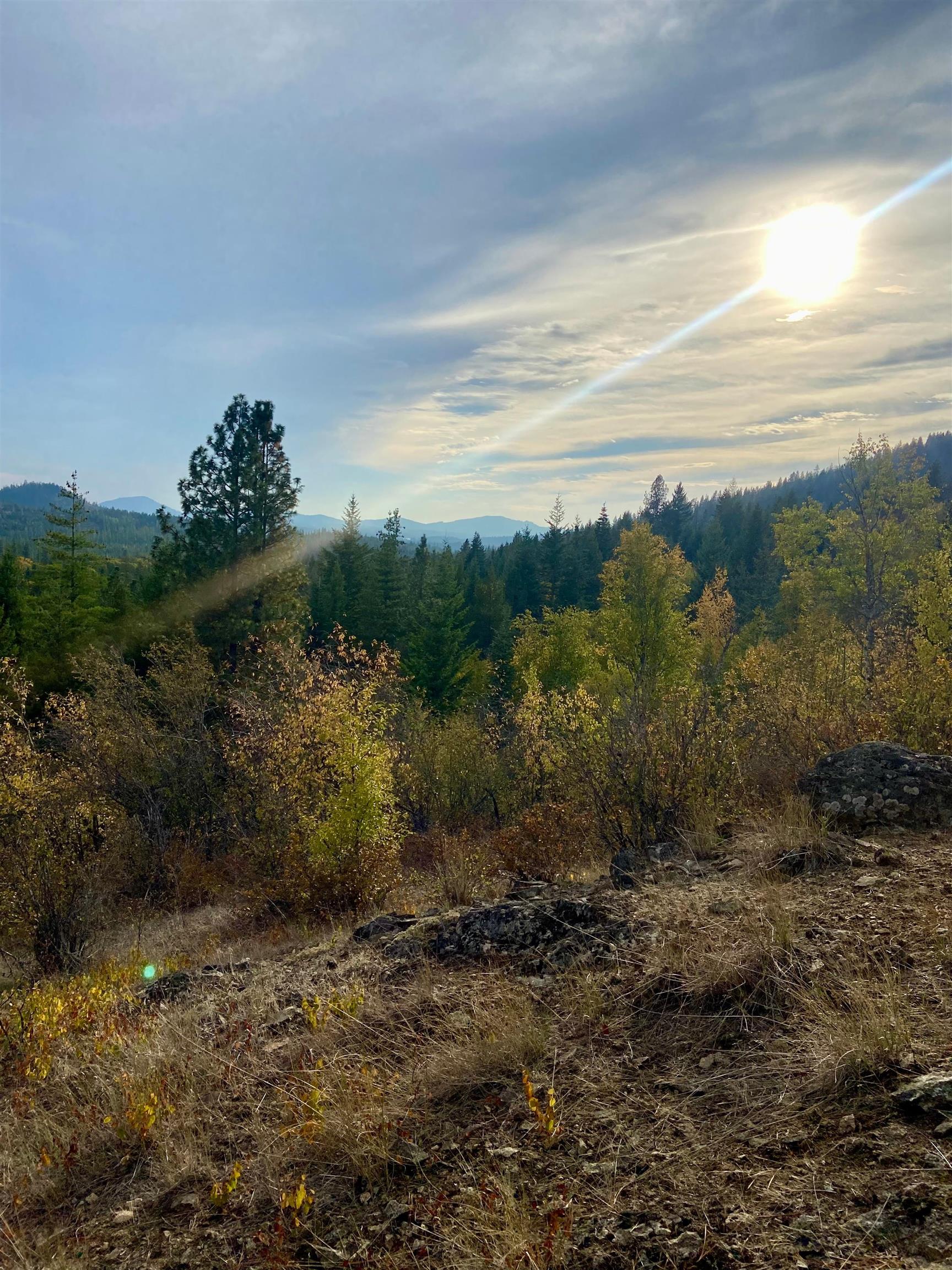 896 Rocky Mountain Rd - Photo 5