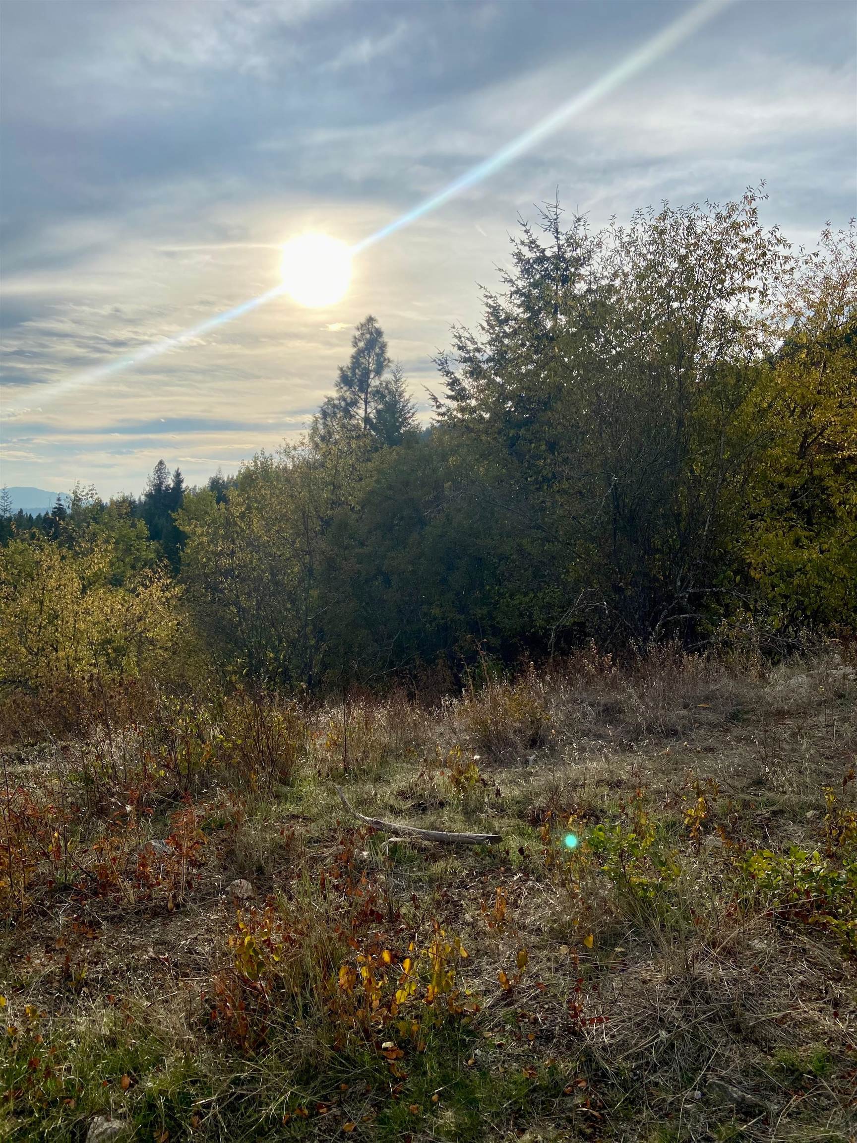 896 Rocky Mountain Rd - Photo 6