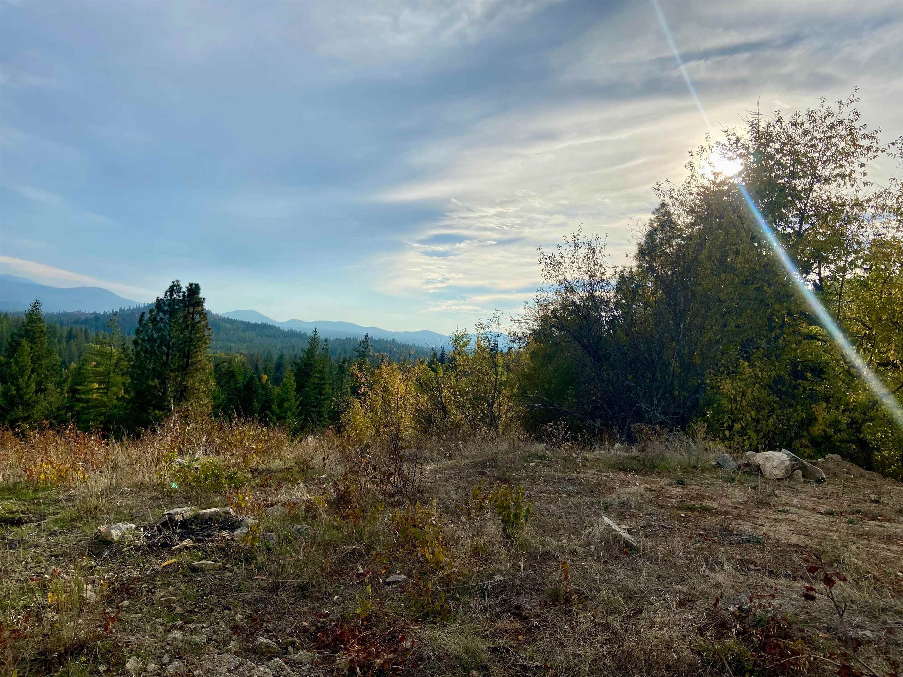 896 Rocky Mountain Rd - Photo 7