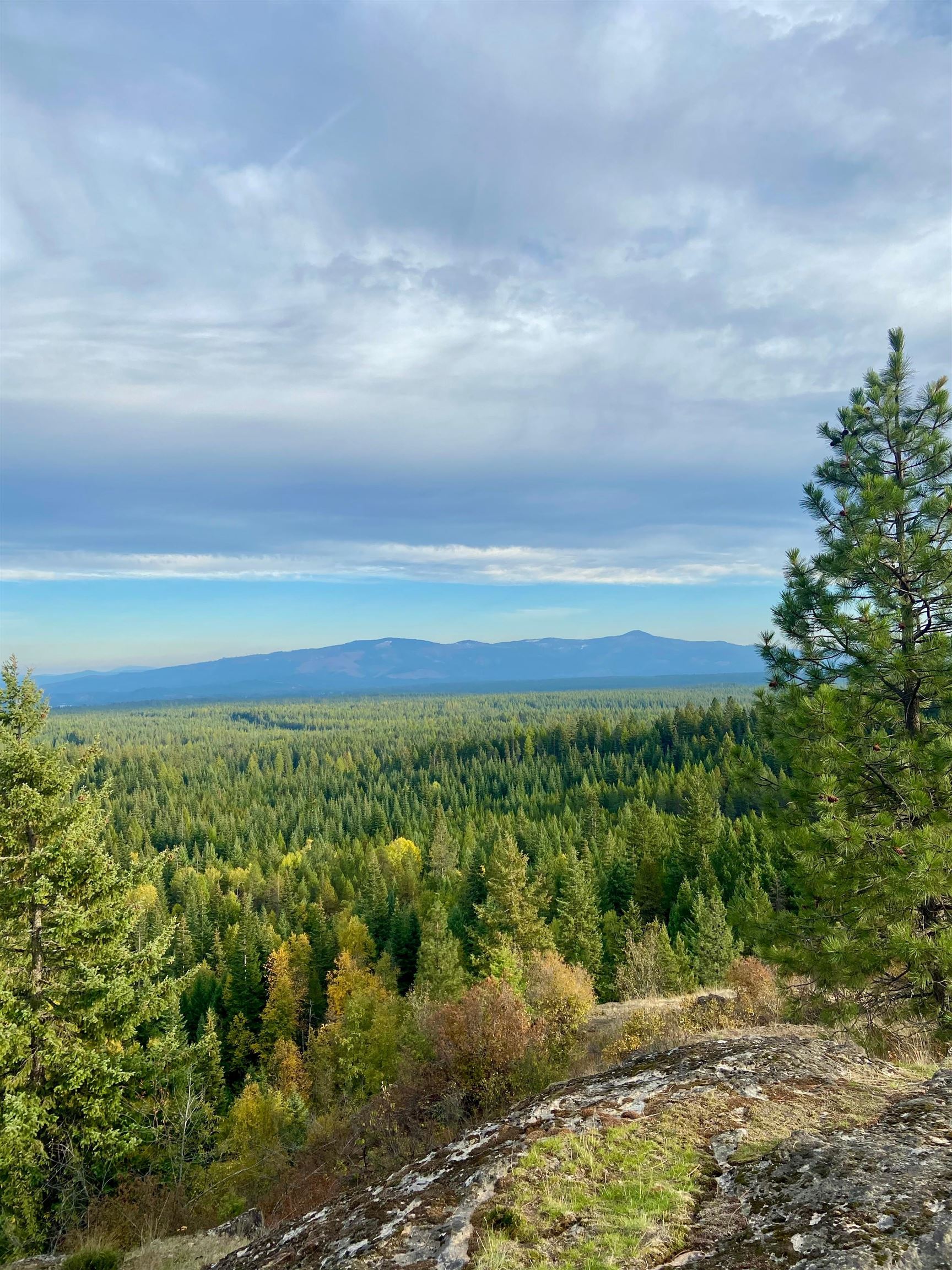 896 Rocky Mountain Rd - Photo 10